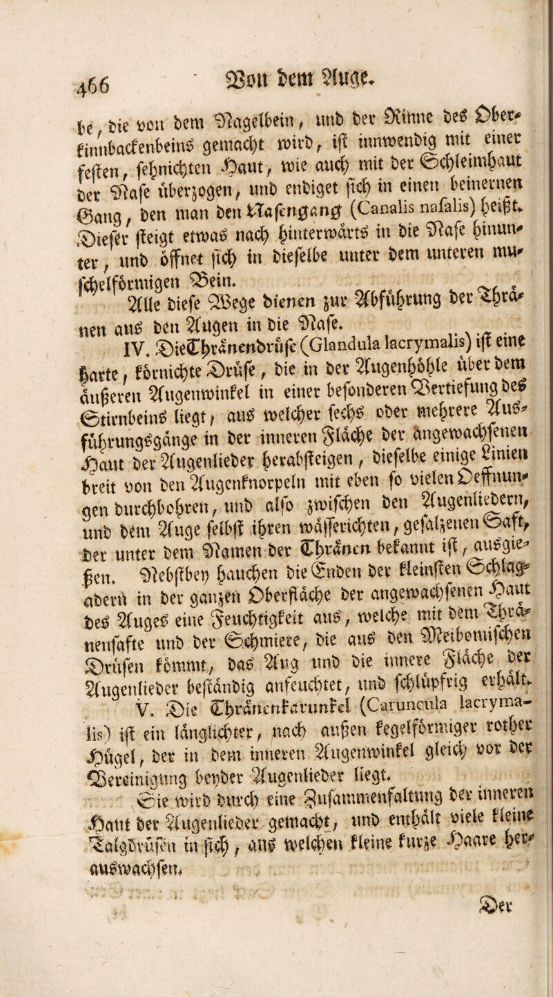23oit fcern Slutte. ,,c fcie Uen bem Slagetbein, unb bei- Öiinne be<5 £>ber* finnbacfenbeinS gemacht wirb, ifl iiuiwenbig mit einer fefien fefenicfeten .'Saut, wie aucfe mit bet tecfeleimfeaut m Stafe überjogen, tmb enbiget liefe in einen beinernen @ang, ben man ben itajengan# (Canalis nolalis) feeifet. liefet (leigt etwa» naefe feiuterwartö in bie IRafe feinun» tet, «nb öffnet ftefe in biefelbe unter bem unteren mu» fefeelförmigen S3ein. , 2fUc tiefe SEBege bienen jur 3(bfttferung bet *few tun aus ben Singen in bie Slafe. IV .DieCferanenbrufe (Glandula lacrymalis) i|t eine garte, fövmcfete Stufe, bie in bet Sfugenfeöfele übet bem lufieren Sfiigeiiwinfel in einet befonberen Vertiefung be« Stirnbein* liegt, au* welcfeet feefe* ober mefeveve 4u*> fufetung*gänge in bet inneren Sldcfee ber angewaefefenen fjattt bet Slugenlieber feetabjleigen , biefelbe einige Unten breit non ben Slugenfnorpeln mit eben fo vielen Ueftnun» gen burefebeferen, tmb alfo jwifefeen ben SCtigenUebern, unb bem Singe fett# ifeten wäffetiefeten, gefabenen ©«ft, ber unter bem Slawen bet Cfetlncn befannt tjl f aubgte^ fien. Slebjfbep feauefeen bie <5nben ber fleinffen toefelag» aberit in ber ganjeti £>berpcfee ber angewaefefenen-Uattt beö Slugeb eine $ettcfetigfett aus, welcfee mit bem £feea* nenfafte unb bet* ©e^mtere/ bie au6 ben ®?etbemi(^)en ©rufen fomrnt, ba* Slug tmb bie innere 'Släcfee ber Slugenliebcr beftdnbig anfeuefetet, unb fefelüpftig evfealt. V. Sie C^ranenhtVimfel (Caruncula lacryma- lis) if! ein längüefeter, poefe aufjen fegeiförmiger totfeet Ringel, ber in bem inneren Slngenwinfel gleicfe »or bet Cßeteiniaung bepber Slugculieber liegt. ©ie wirb bttrefe eine §ufammenfaltung ber inneren ü)aüt ber Slugenliebet gemaefet, tmb emfedlt niete Heute talgBrüfen in ftefe, ntä welefeen Heine fttrje Anette feet* «u*macfefem ' fSec
