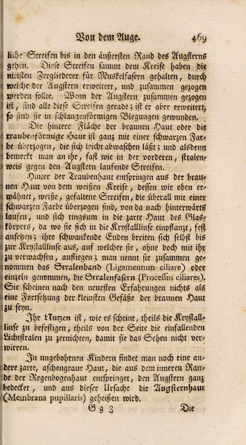 ! liehe ©tretfen biß in t>en dufterflen 0?anb beS 2fvtcjffetn^ gehen. ©tefe ©treffe« lammt bem Greife f^abe« bie merfleu gerglieberer für STOutfelfafern galten, burch weiche bet 2fugffetn erneuert, unb jufammen gezogen lj werben foHte. QBenn ber 2f«gj?ern jufammen gezogen f ifl, }tnb alle biefe ©tteifen gerate; iff er aber erweitert, i fo ftttb fte tu fchlangenfotmigen SSieguugen gewunben. ®ie Hintere flache ber brautte« ^aut ober bie traubettformt^e 6aut iff ganj mit einer fcf)watjen §at* be überzogen, bie jtch leicht abmafc^en ld#t; unb alSbem* bemerft matt an i$r, faff wie itt ber «erberen, fftalew» miß gegen ben 2fugffern laufettbe ©treife«» 1‘Ointer ber ^raubenfjaut entfptingen aus ber brau* itert ipaut eon bem n>ei@ett Greife , helfen mir oben er* mahnet, weifte , gefältelte ©treife«, bie überall mit einer fchwarjen $atbe überzogen (mb, eon ba «ach hinterwärts | laufen, unb jtch ringsum in bie jarte i)aut beS 0laS* I fbtperS, ba wo fte jtch in bie Ärpffalllinfe einpjTanjt, fejf Ianfe|e«; ihre fchwanfenbe ©Wen breiten (Ich felbff bis i jur Ärpffattlinfe aus, auf welcher fte, ohne hoch mit ihr ||u oermachfen, aujTiegett; man nennt fte jufammen ge* nommen baS Ötralertbanb (Ligamentum ciliare) ober einzeln genommen, bie Gtralenfafern (Proceflus ciliares), ©ie fcbeinen nach bett neueren Erfahrungen nichts als leine $ortfe|ung ber fleinffett ©efape ber braunen »Oaut Iju fepn. Mu%en iff, wie eS fcheint, theilS bie Ärpffalt* ltnfe ju befefltgen, theiiS «on ber ©eite bie einfallenben ; föcht(?ralett ju jernichten, bamit fte baS ©eben nicht eet> wirren. ,3n ungebohtnen Ämtern ftnbet man noch eine am iiberejarte, afchengrane ^)aut, bie aus bem inneren £)ian* We ber ^Regenbogenhaut entfpringet, ben ^fugjlern ganj bebeefet, unb aus btefer ilrjache bie 2(tt#jternh<wt /^Membrana pupillaris) geheimen wirb, Ö g 3 Jöie