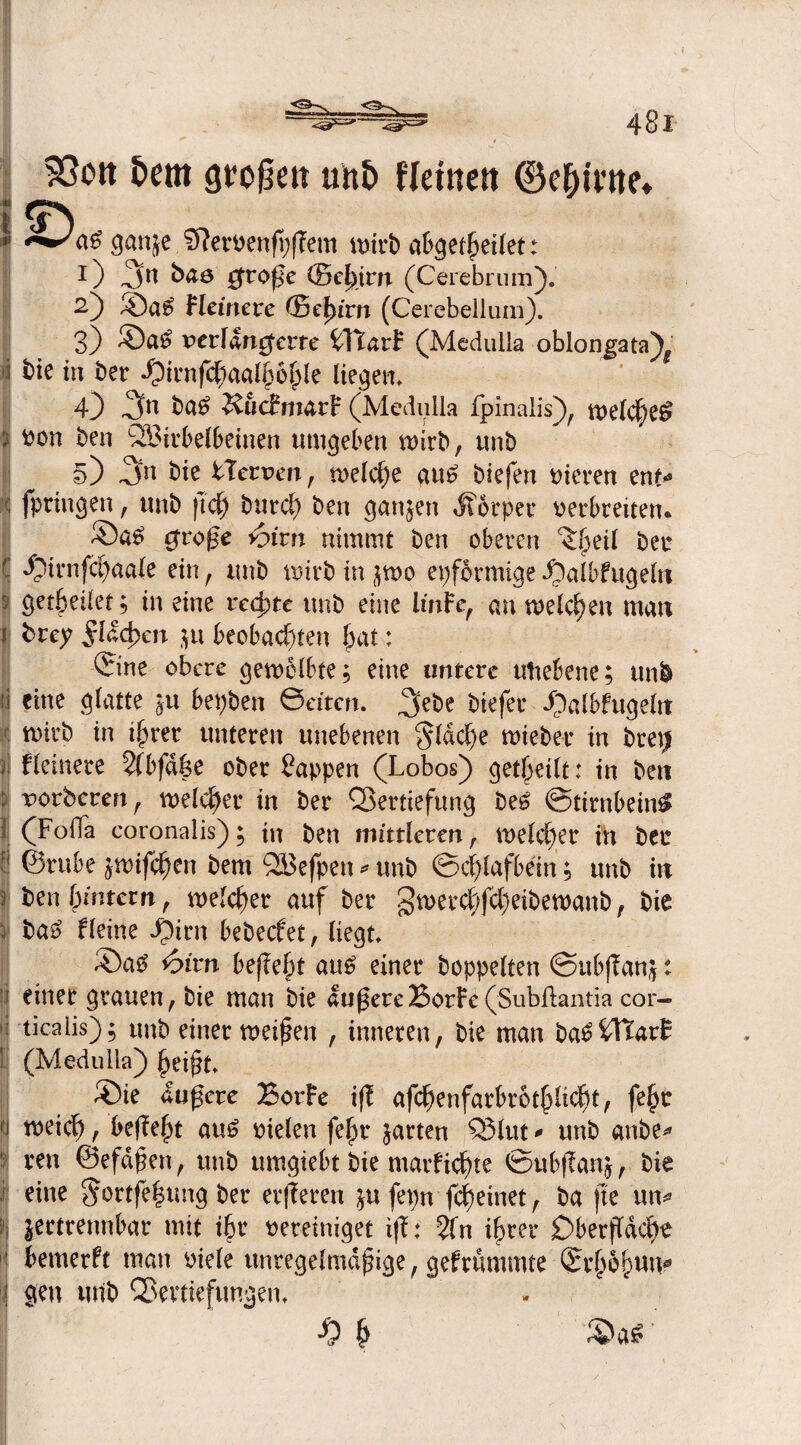 —<3 481- &em großen uht> fletnett ©ebU'tte. i * ganje 5?erPenß;ßetn wirb abgetßeilet: I) ^as große (Bef)im (Gerebrum). ^3 Heinere ®cß irn (Cerebelium). 3) ®a# perüngerte GFtarF (Medulla oblongata)f I in bet -Oirnfc^aalipo^le liegen» 4) ,3n &uäm&rF (Medulla fpinalis), welche# : pon Den V3irbelbeinen umgeben n>irb, unb §) 2fn bie Herum, welche au# btefen Pieren ent« fptingen, unb ftd) butei) ben ganzen Körper petbreiten. große <bivn nimmt ben oberen ^ßeil bet C dptrnfcßaale ein, unb wirb in $wo epfbrmige ^albfugeln 5 getbeüet; in eine rechte unb eine ItnFe, an meieren matt r brey jrldd)en $u beobachten ßat: ©ine obere gewölbte; eine untere utiebene; ttn& n eine glatte ju bepben ©eiten. btefet -Oalbfugeltt wirb in ißrer unteren unebenen §ldcße wiebet in bretj ?] Heinere $(bfdße ober Wappen (Lobos) geteilt: in bett : uorberen, welcher in ber Vertiefung be# Stirnbein# I (Fofla coronalis); in ben mittleren, welcher in bet 0 ©rube jwtfcßen bem QBefpen * unb ©cfylafbein; unb in : ben hintern, welcher auf ber gweteßfeßeibewanb, bie : ba# tleine ^)irn bebeefet, liegt. ®a# *6irn beßeßt au# einer hoppelten ©ubfTanj: einer grauen, bie man bie äußereBorFe (Subflantia cor— : ticaiis); unb einer weißen , inneren, bie man ba#HTarF t (Medulla) £eißt. ®ie äußere BorFe iß afcßenfarbrotßlicfit, feßt 'i weief), beßeßt au# Pielen feßr garten Vlut * unb anbe* !; ren ©efdßen, unb umgiebt bie marficf)te Subßan;, bie f eine ©ortfeßung ber erßeren ju fepn feßeinet, ba fte un* 1 jettrennbar mit ibr Pereiniget iß: 2fn ißter £>berßdcf)e 1 bemerft man Piele unregelmäßige, gefrümmte ©rßeßun* i gen unb Vertiefungen. «0 ß &a# '