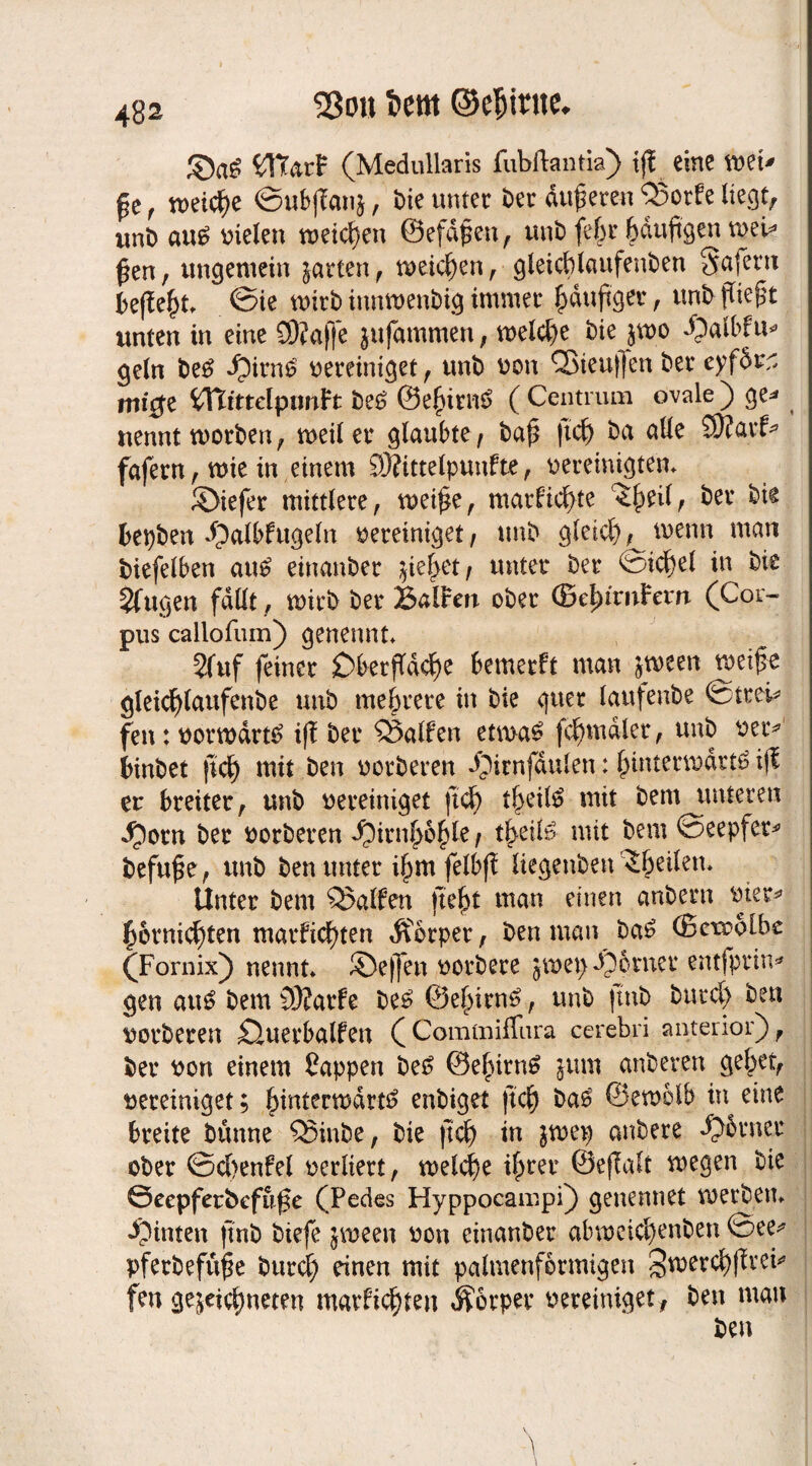 Sßon ©eljtrne, (Medullaris fubftantia) tjf eine wet* ^e , weiche ©ubjTanä, t)ie unter Der duneren QSorfe liegt; unb au6 fielen weiten ©efdfmi, unb fefcr häufigen mei* fien, ungeniein jarten, meinen, gleicblaufenben Safern heftet, ©ie wirb innwenbig immer häufiger, unb fiiefit unten in eine SRaffe jujammen, welche bie jwo dpalbfn* geln be£ dpirn£ vereiniget , unb von Q3teuf[en ber eyf&rr, mige tyftittdptmft be£ ©effim*? ( Centrum ovale ) ge* nennt worben, weiter glaubte/ bafi ftd) ba alle 3)?arf* fafern, wie in einem SRittelpunfte, vereinigtem ©iefer mittlere, weifie, marfid)te ^fieil, ber bie bepben dpalbfugeln vereiniget, unb gleicl), wenn mart biefefben au£ einanber jie^et; unter ber ©id}el in bie Jfugen fallt, wirb ber Balten ober (Be^tmFem (Cor¬ pus callofum) genennt 2fuf feiner £>betfidcf)e bemerft man $ween wetfie gleicfilaufenbe unb mehrere in bie guer laufenbe ©trei* fen: vorwärts ifi ber halfen etwa£ fcfimdler, unb ver* binbet fid) mit ben vorberen dpirnfdulen: hinterwärts ijt er breiter, unb vereiniget ftd) theilS mit bem unteren Jporn ber vorberen $irnf>of)le f t^eite mit bem ©eepfer* befuge, unb ben unter i^m felbf? liegenben feilem Unter bem halfen fte^t man einen anbern vier* herni^ten marficf)ten Körper, ben man baS ©etvolbe (Fornix) nennt ©effen vorbere gwepdperner entfprin* gen auö bem 3)?arfe be£ ©efnrnS, unb jtnb burd) ben vorberen £tuerbalfen (Commiffura cerebri anterior), ber von einem Wappen bet? ©efiirnS jum anberen gehet, vereiniget; hinterwärts enbiget fiel) baS ©ewolb in eine breite bünne ^Sinbe, bie jtdj in pvep anbere firner ober ©d>enfel verliert, welche ihrer ©efiaft wegen bie 0eepferbefu0e (Pedes Hyppocampi) genennet Werbern dpinten jtnb biefe jween von einanber abweichenden ©ee* pferbefüfie burd) einen mit palmenfbrmigen ^werchfivei* fen gezeichneten marfid)ten Körper vereiniget, ben man ben