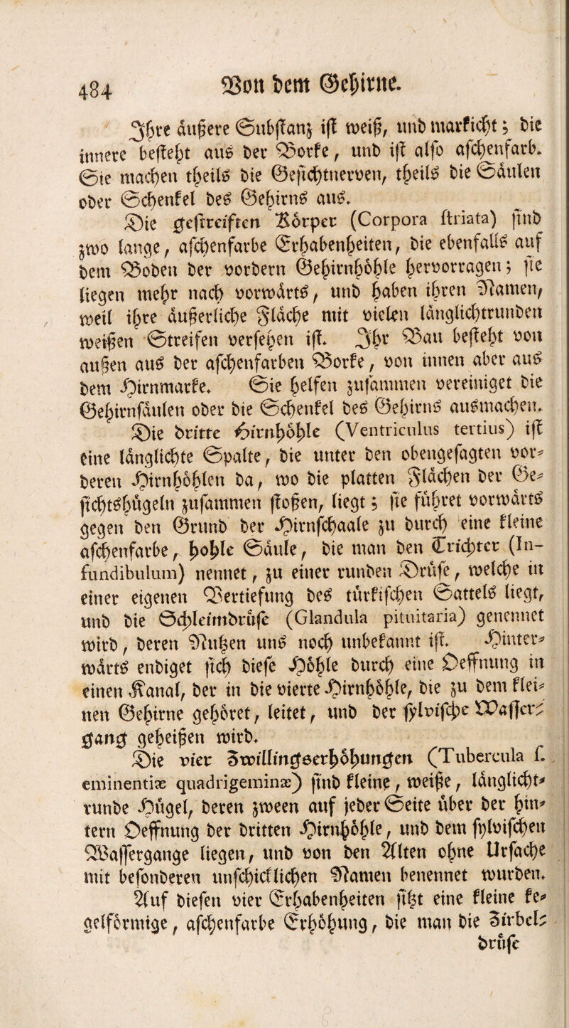 93ott t>em ©efjinte. 2$re äußere ©ubßatij ifE meiß, unbmarfk$t; bie innere befielt aus ber Vorfe, unb iß alfo afcf)enfarb* ©ie machen bie ©eßchtnerben, theilä bie ©dulen ober ©chenfel be6 ©ehirn£ au£* ©ie ^eßreiftert Xorper (Corpora ftriata) ßnb jmo lange , afcbenfarbe Erhabenheiten, bie ebenfalls auf bem Vobett ber borbern ©e^irn^o^le herborragett; fte Hegen mehr nach bormdrttf f unb haben ihren tarnen, n>et( i^re äußerliche gldche mit fielen Idnglichtrunben weißen Streifen berfepen iß* 3hr ®au &eßeht you außen aus ber afchenfarben Vorfe, bon innen aber au£ bem ipirnmarfe* Sie helfen jufantmen bereiniget bie ©ehirnfdulen ober bie ©chenfel be£ ©ehirn6 aulmact)en> ©ie bn'tte famfyofyle (Ventriculus tertius) iß eine längliche ©patte , bie unter ben obeugefagten bor* bereit *Oirnbohten ba, mo bie platten flachen ber ©e^ ßcht^hügeln jufammen ßoßen, liegt; fte führet bormdrtö gegen ben ©runb ber ©irnfchaale $u burcf) eine Heine afchenfarbe , hohle ©dule, bie man ben Crt^tcr (In- fundibulum) nennet, $u einer runben ©rufe, welche tu einer eigenen Vertiefung betf türfifchen Sattel# liegt, unb bie Öd)Ietmbrnfe (Glandula pituitaria) genennet wirb, beren $ftu|en utt# noch unbekannt iß* ©intern wdrt# enbiget ßch biefe ©chle burch eine Oeffnttng in einen Äanal, ber in bie bierte iMrnhohle, bte in bem Hei* neu ©ehirne gehöret, leitet, unb ber fylnißhe öart0 geheißen wirb* ©ie uier Zwilling ect^o^utx^cn (Tubercula f. eminentix quadrigeminx) |tnb Heine, meiße, ldnglicf)t* runbe ©ügel, beren jmeen auf jebet ©eite über ber hm* tern Deffnung ber britten ^irnhohle, unb bem fplbifchett SBaßergange liegen, unb bon ben 2(lten ohne Urfache mit befonberen unßJjicf liehen fftamen benennet mürben* 5(uf biefett hier Erhabenheiten ft|t eine flehte fe* gelformige, afcbenfarbe Erhöhung, bie mau bie dir bei; brufc