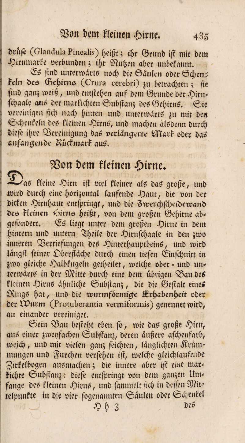 brufe (Glandula Pinealis) §eijjt; ihr Öiumb i|t mit bem Jjicumarfe oerbunben; t|jr Pulsen aber tmbef'amu. jtnb unternwrtS nocf> bte Öaiilcn ober Ödjcn? 1 Fein bes ®el;im6 (Crura cerebri) ju betrachten ; jte I füib gan} mei§, unb entfielen auf bem ©ruttbe ber ^)inv I jchaale atiS ber tnarfichten ©ub|lanj beb ©el)irnb. ©ie bereinigen ftd) nach hinten unb uutenitdrtS jn mit beit ©ctsenfeln beb fleinen ^»irnb, unb machen albbenn butch btefe ihre QSeretnigung bab nerian^erre SfTiarE ober bab «nfati0enbe KucfmarP aub, SSott t>em Ueittett girrte* fleine »yirn i(l t>tel fleiner a(6 ba£ gtof?e, unb wirb burd} eine £o^ontal laufenbe dpaut, bte von bet bicfen ^irn&aut entfpritigt, unb bie 3roercl)jd)e t b e rv a n b : bcö Fleinen ibime £ei$t, von beut großen ©efnrne ab* ! gefonbert» liegt unter bem großen »Oirne in bem ; ^intern unb untern c5^eile ber $trnfcf)aale tn ben }tvo inneren Vertiefungen be£ .£)intetl)auptbein6 , unb tvirb IdngfT feiner £>berfTdc^>e burd) einen tiefen ©nfcfynitt in |too gleiche JjMbfugeln get^eüet, welche ober * unb un* tertvdrtö in ber 33?ttte burc| eine bem übrigen Vau be£ Fleinen d&nlicfje ©ubffanj, bie bie @e(?alt eines StingS £at, unb bie xvuvmfoitni$e Strfyabenfyeit ober ber OPutrn (Protuberantia vermiformis) genennet tvirb, an einanber vereiniget» ©ein Vau be|?el)t eben fo , tvie baS gtofe $irn, i aus einer jmepfac^en ©ub|?an^ bereu dunere afcüenfavb, ; mitf) t unb mit vielen gan# feierten , länglichen j nutngen unb §urcf>en verfemen tfT, tvelch gleicf)laufmbe gtrfelbogen auSmacfjen $ bie innere aber ijl eme mar* Fic§te ©ubfTanj* biefe entfpringt von bem ganzen Um* fange bes fleinen $itn£, unb fammelt ftc$ in beffen 9)?it* telpunfte in bie vier fogenanuten ©dulen ober ©efenfef jg 3 ; fceS