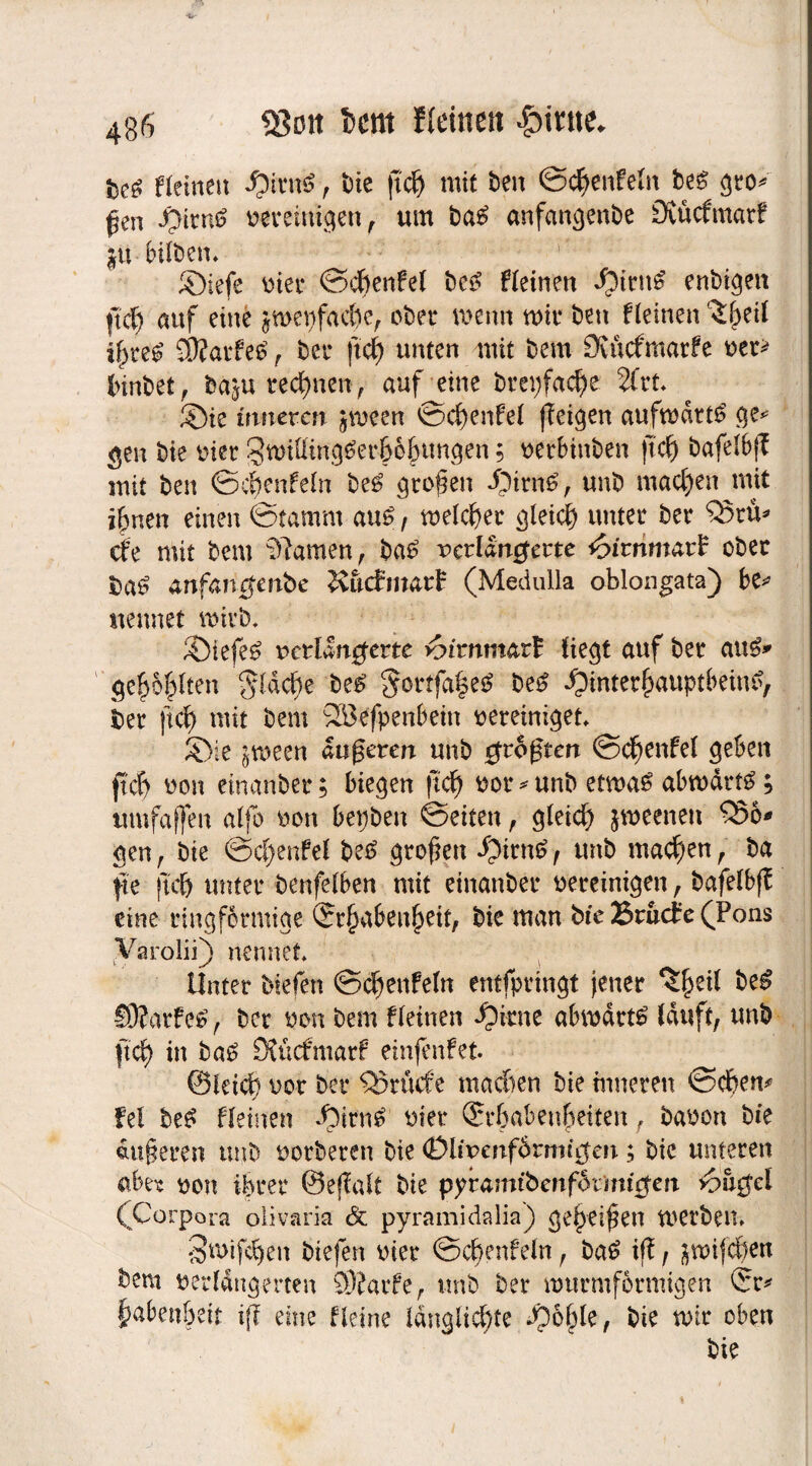 -U' 486 <8öu im Heine« Hinte* fleinen ^itnö , bie ftd& mit beit S#enfeln be& gro* gen HirnS vereinigen ^ um ba6 anfangenbe Ovücfmatf ju bilbem ©iefe vier 0#enfel be£ fleinen Hirtt$ enbtgen f# auf eine $wepfa#e, ober wenn mir ben fleinen ^heil #re£ S0?arfe^ , ber fiel) unten mit bem Outcfmarfe vet* I>irtbet^ ba^u rechnen, auf eine bret;fa#e 2frt ©ie inneren jmeen S#enfel (Teilen aufwärts ge* gen bie vier 3wiÜtng£er&6hungen; verbinben ft# bafelbf mit ben S#enfeln be£ großen Htnt6, unb machen mit ihnen einen Stamm au£ , meiner gleich unter ber £5tü* efe mit bem tarnen, ba£ verlängerte ^irnmatf ober anfanefenbe ^uefmarh (Medulla oblongata) be* nennet wirb* ©iefe£ verlängerte >c>trnmat£ liegt auf ber aus?* geilten §ld#e be£ $ortfa|e$ be£ Hinterhauptbeine, ber ft# mit bem SBefpenbetn vereiniget ©ie §meen duneren unb größten S#enfel geben ft# von einanber; Hegen ft# vor * unb etma£ abtvdrt£; umfaßen alfo von bepben Seiten , glei# jmeenen Q3o* gen, bie @#enfef be£ großen S^imü , mtb ma#en, ba f e ft# unter benfelben mit einanber vereinigen, bafelbfl eine ringförmige (Erhabenheit, bie man bie Bruche (Pons Varolii) nennet Unter Hefen S#enfeln entfprtngt jener ‘S^eil be$ SS&arfeS, ber von bem fleinen Hinte abwärts lauft, unb ft# in ba£ Üfücfmarf einfenfet ©let# vor ber QJrücfe machen bie innerett S#em fei be£ Heilten Hftn£ vier (Erhabenheiten, bavon bie äußeren unb vorberen bie <Diivertf6rnn$cit; bic unteren abet von ihrer ©eflalt bie pyramtbenfbtmicjert #&$el (Corpora olivaria Sc pyramidalis) geheißen werben, 3mif#en Hefen vier S#enfeln, ba£ if, jwif#en bem verlängerten 9)?arfe, mtb ber nnmnformigen (Er* habenhett iff eine fleine ldngli#te fytyk, bie mir oben bie