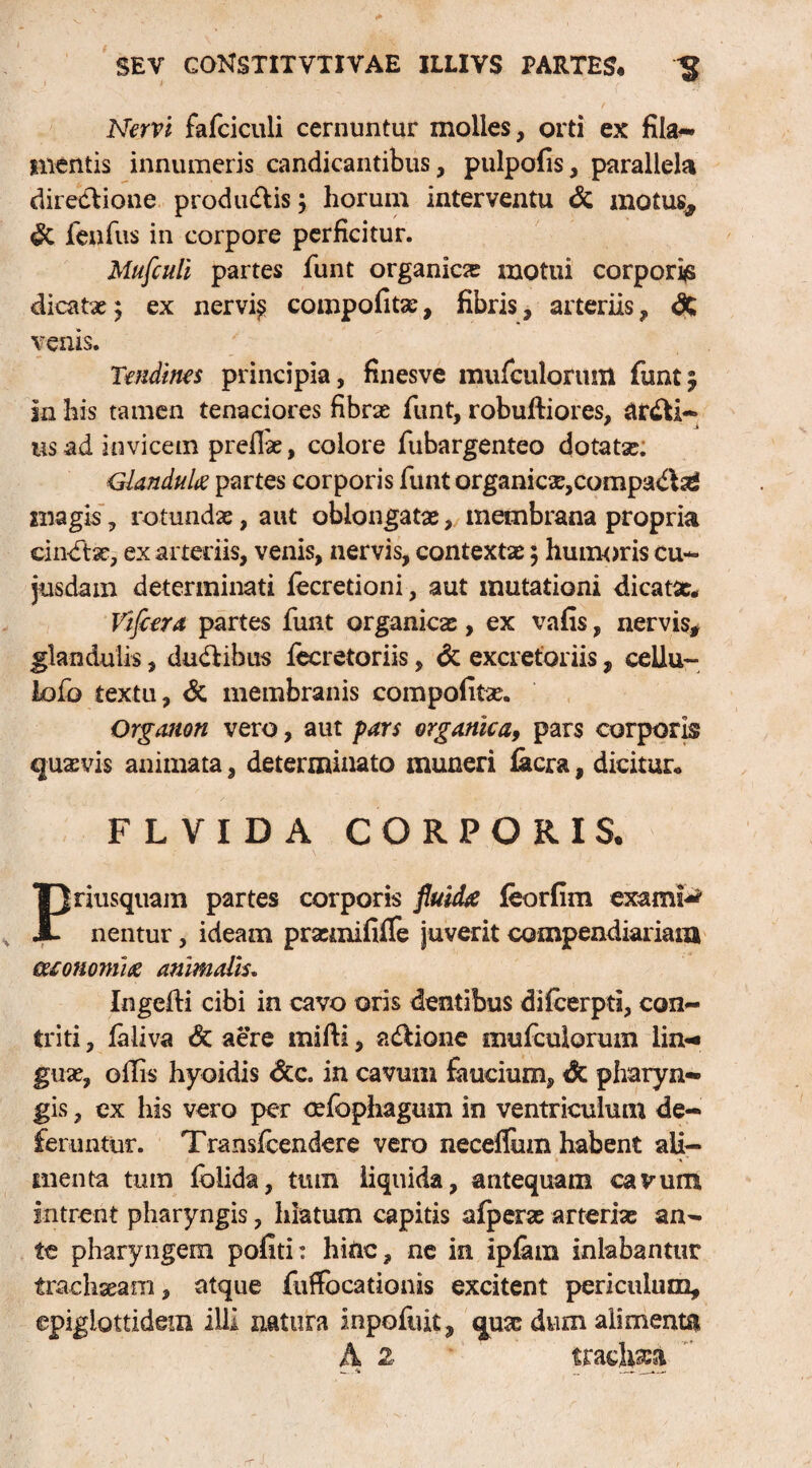 Nervi fafciculi cernuntur molles, orti ex fila¬ mentis innumeris candicantibus, pulpofis, parallela diredtione produdlis; horum interventu & motu% dt fienfius in corpore perficitur. Mufculi partes funt organica motui corporis dicatae; ex nervi? compofitas, fibris, arteriis, & venis. Tendines principia, finesve muficulorum fiunt 5 in his tamen tenaciores fibras fiunt, robuftiores, ardti- us ad invicem prefiae, colore fubargenteo dotatae. Glandula partes corporis fiunt organicae,compadbd magis, rotundae, aut oblongatas, membrana propria cindtse, ex arteriis, venis, nervis, contexta:; humoris cu- jusdam determinati iecretioni, aut mutationi dicatae. Vifiera partes fiunt organicas, ex vafis, nervis, glandulis, ducibus fiecretoriis, & excretoriis, cellu- lofb textu, & membranis compotitae. Organon vero, aut pars organica, pars corporis quasvis animata, determinato muneri lacra, dicitur* FLVIDA CORPORIS. Priusquam partes corporis fluida leorfim exami*’ nentur, ideam praemififle juverit compendiariam cuonomia animalis. Ingefti cibi in cavo oris dentibus difcerptl, con¬ triti , laliva & aere mifti, adHone muficulorum lin¬ guae, ollis hyoidis <5cc. in cavum faucium, dc pharyn¬ gis , cx his vero per cefophagum in ventriculum de¬ feruntur. Transficendere vero neceffum habent ali¬ menta tum fclida, tum liquida, antequam cavum intrent pharyngis, hiatum capitis afperae arterias an¬ te pharyngem potiti: hinc, ne in ipfam inlabantur trachseani, atque fuffocationis excitent periculum, epigiottidem illi natura inpofuit, qusc dum alimenta A 2 tradita