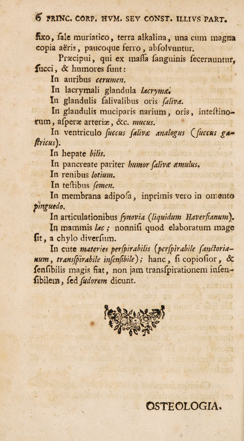 € FfUNC. CORP. HVM. SEV CONST. ILLIVS PART« fixo, falc muriatico, terra alkalina, una cum magna copia aeris, paucoque ferro, abfolvuntur. Praecipui, qui ex mafla fanguinis fecernuntur, iucci, & humores fiint: In auribus cerumen. In lacrymali glandula lacryma* In glandulis falivalibus oris faliva. In glandulis muciparis narium, oris, intehino- tnm, afperae arteriae, &c. mucus. In ventriculo fuccus faliva analogus ffuccus ga~ firicus). In hepate bilis. In pancreate pariter humor faliva cernulus* In renibus lotium. In teftibus femen. In membrana adipofa, inprimis vero in omento pinguedo. In articulationibus fynovia (liquidum Haverfianum). In mammis lac; nonnifi quod elaboratum mage (it, a chylo diverfum. In cute materies perfpirabilis (perfpirabile fanclor ia-- mm, transffirabile infenfibile); hanc, fi copiofior, <3c fenfibilis magis Hat, non jam transfpirationem infen^ fibilem, fcd fudorem dicunt