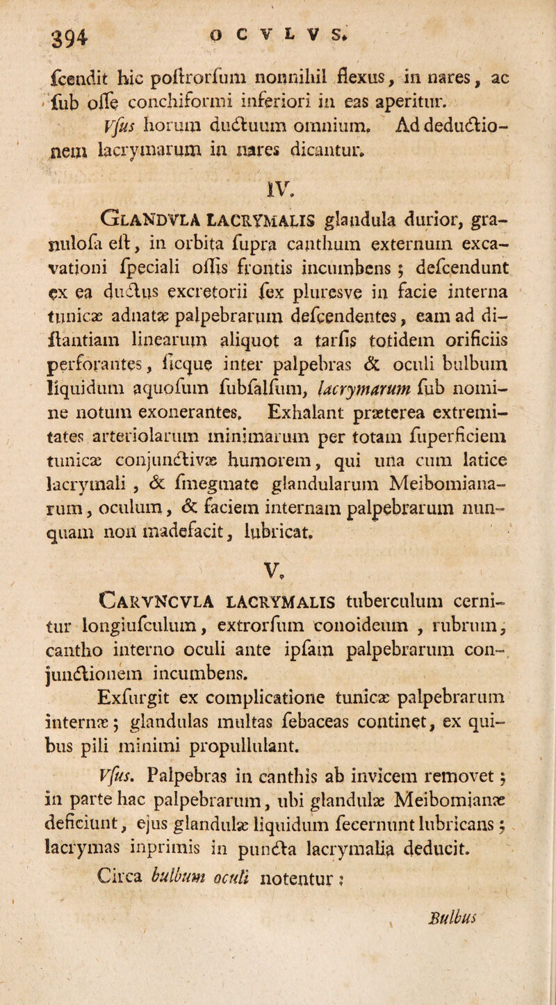 fcendit hic poftrorfum nonnihil flexus, in nares, ac fub olfe conchifonni inferiori in eas aperitur. Vjus horum dudluum omnium» Ad dedudlio- nem lacrymarum in nares dicantur» IV. Glandvla LacrTMALIS glandula durior, gra- nulofa ell, in orbita fupra canthum externum exca¬ vationi fpeciali ollis frontis incumbens ; defcendunt ex ea dudius excretorii fex pluresve in facie interna tunicas adnatse palpebrarum defcendentes, eam ad di- llantiam linearum aliquot a tarfis totidem orificiis perforantes, flcque inter palpebras & oculi bulbum liquidum aquofum fubfaifum, lacrymarum fub nomi¬ ne notum exonerantes. Exhalant prasterea extremi¬ tates arteriolarum minimarum per totam fuperficiem tunicas conjundlivx humorem, qui una cum latice lacrymali , & fmegmate glandularum Meibomiana- rum, oculum, & faciem internam palpebrarum nun¬ quam non madefacit, lubricat. . ~' v CaryNCVLA LACRYMALIS tuberculum cerni¬ tur longiufculum, extrorfum conoideum , rubrum, cantho interno oculi ante ipfam palpebrarum con- jundlionem incumbens. Exfurgit ex complicatione tunicas palpebrarum internas; glandulas multas febaceas continet, ex qui¬ bus pili minimi propullulant. Vfus. Palpebras in canthis ab invicem removet; in parte hac palpebrarum, ubi glandulas Meibomianae deficiunt, ejus glandulas liquidum fecernunt lubricans; lacrymas inprimis in pundla lacrymalia deducit. Circa bulbum oculi notentur: Bulbus