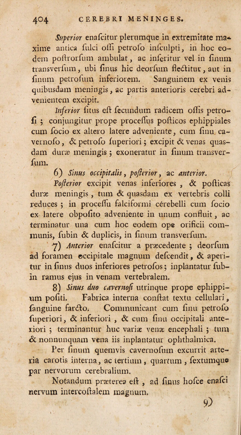 4°4 Superior enafcitur plerumque in extremitate raa* xime antica fulci offi petrofo infculpti, in hoc eo¬ dem poftrorfum ambulat, ac inferitur vel in linum transverfum, ubi linus hic deorfum flebitur, aut in linum petrofum inferiorem. Sanguinem ex venis quibusdam meningis, ac partis anterioris cerebri ad¬ venientem excipit. Inferior litus eft fecundum radicem ollis petro- li 5 conjungitur prope procelfus pofticos ephippiales cum focio ex altero latere adveniente, cum finu. ca- vernofo, <5c petrofo luperiori; excipit & venas quas¬ dam duras meningis ; exoneratur in linum transver¬ fum. 6) Sinus occipitalis, pofierior, ac anterior. Toflerior excipit venas inferiores , & pofticas durae meningis, tum & quasdam ex vertebris colli reduces ; in procelfu falciformi cerebelli cum focio ex latere obpolito adveniente in unum confluit, ac terminatur una cum hoc eodem ope orificii com¬ munis, fubin & duplicis, in linum transverfum. 7) Anterior enafcitur a procedente ; deorfum ad foramen occipitale magnum defcendit, & aperi¬ tur in linus duos inferiores petrofos; inplantatur fub¬ in ramus ejus in venam vertebralem. 8) Sinus duo cavernofi utrinque prope ephippi¬ um politi. Fabrica interna conflat textu cellulari, fanguine fardlo. Communicant cum linu petrofo fuperiori, <3c inferiori , & cum linu occipitali ante¬ riori 5 terminantur huc variae veno encephali 5 tum & nonnunquam vena iis inplantatur ophthalmica. Per finum quemvis cavernofmn excurrit arte¬ ria carotis interna, ac tertium , quartum , fextumque par nervorum cerebralium. Notandum praeterea efl , ad linus hofce enafci nervum intercoftalem magnum. s'