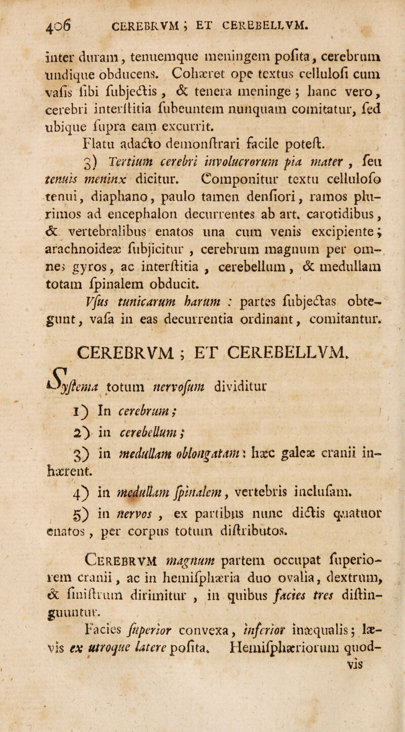 yfr- ’ 1 inter duram, tenuenique meningem polita, cerebrum undique obducens'. Cohaeret ope textus celluloli cum vafis libi fubje&is, & tenera meninge ; hanc vero, cerebri interilitia fubeuntem nunquam comitatur, fed ubique fupra eam excurrit. Flatu adadto demondrari facile poteft. 3) Tertium cerebri involucrorum pia mater , feu tenuis meninx dicitur. Componitur textu cellulofo tenui, diaphano, paulo tamen denfiori, ramos plu¬ rimos ad encephalon decurrentes ab art. carotidibus, <5c vertebralibus enatos una cum venis excipiente; arachnoideas fubjicitur , cerebrum magnum per om¬ ne* gyros, ac interditia , cerebellum, & medullam totam fpinalem obducit. Vfus tunicarum harum : partes fubjedas obte¬ gunt, vafa in eas decurrentia ordinant, comitantur. CEREBRVM ; ET CEREBELLVM. P Uyftenu tottun nervofum dividitur • ; t - > i) In cerebrum; 2} in cerebellum; 3) in medullam oblongatam: Ii£C galeas cranii in- hxrent. 4) in medullam fpinalem, vertebris inclulam. g) in nervos , ex partibus nunc didlis quatitor enatos, per corpus totum didributos. CerEBRVH magnum partem occupat fuperio- rem cranii, ac in hemifphaeria duo ovalia, dextrum, finidruni dirimitur , in quibus factes tres didm- guuntur. Facies fuperior convexa, inferior inaequalis; \x- vls ex utroque latere polita. Flemilphseriorum quod¬ vis