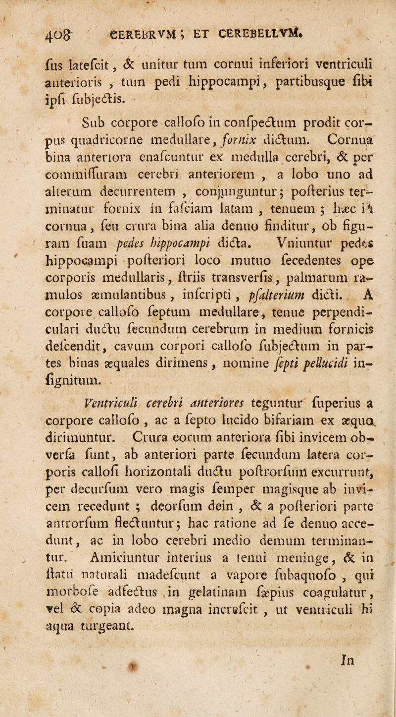 fus latefcit, & unitur tum cornui inferiori ventriculi anterioris , tum pedi hippocampi, partibusque fibi ipfi fubjedis. Sub corpore callofo in confpedum prodit cor¬ pus quadricorne medullare, fornix didum. Cornua bina anteriora enafcuntur ex medulla cerebri, & Der commifiuram cerebri anteriorem , a lobo uno ad alterum decurrentem , conjunguntur; poderius ter¬ minatur fornix in fafeiam latam , tenuem ; haec i cornua, feu crura bina alia denuo finditur, ob figu¬ ram fuam pedes hippocampi dida. Vniuntur pedts hippocampi pofteriori loco mutuo fecedentes ope corporis medullaris, feriis transverfis, palmarum ra¬ mulos aemulantibus, inferipti , pfalterium didi. A corpore callofo feptum medullare, tenue perpendi¬ culari dudu fecundum cerebrum in medium fornicis defeendit, cavum corpori callofo fubjedum in par¬ tes binas aequales dirimens, nomine fepti pellucidi in- (ignitum. Ventriculi cerebri anteriores teguntur fuperius a corpore callofo , ac a fepto lucido bifariam ex aequor dirimuntur. Crura eorum anteriora fibi invicem ob- verfa funt, ab anteriori parte fecundum latera cor¬ poris callofi horizontali dudu poftrorfum excurrunt, per decurfum vero magis femper magisque ab invi¬ cem recedunt ; deorfum dein , & a pofeeriori parte antrorfum fleduntur; hac ratione ad fe denuo acce¬ dunt, ac in lobo cerebri medio demum terminan¬ tur. Amiciuntur interius a tenui meninge, & in featil naturali madefeunt a vapore fubaquofo , qui morbofe adfedus in gelatinam faepius coagulatur, vel & copia adeo magna increfcit , ut ventriculi hi aqua turgeant. % In