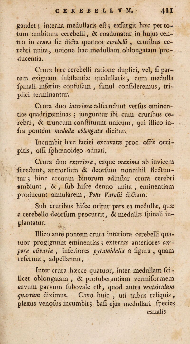 gaudet; interna medullaris efl:; exfurgit hasc per to¬ tum ambitum cerebelli, & coadunatur in hujus cen¬ tro in crura fic dida quatuor cerebelli , cruribus ce¬ rebri unita, unione hac medullam oblongatam pro¬ ducentia. 1 Crura hasc cerebelli ratione duplici, vel, fi par¬ tem exiguam iubftantias medullaris , cum medulla fpinali inferius confufam , fimul confideremus, tri¬ plici terminantur. \ Crura duo interiora adfcendunt verfus eminen¬ tias quadrigeminas 5 junguntur ibi cum cruribus ce¬ rebri , & truncum conftituunt unicum, qui illico in¬ fra pontem medulla oblongata dicitur. Incumbit haec faciei excavatas proc. offis occi¬ pitis, olli fphcenoideo adnati. Crura duo exteriora, eaque maxima ab invicem fecedunt, antrorfum & deorfum nonnihil fiedlun- tur; hinc arcuum binorum adinftar crura cerebri ambiunt , &, fub hifce denuo unita , eminentiam producunt annularem, Totis Varolii didam. Sub cruribus hifce oritur pars ea medullae, quae a cerebello deorfum procurrit, <5c medullae fpinali in- pl a utatur. ' W* &: Illico ante pontem crura interiora cerebelli qua¬ tuor progignunt eminentias; externae anteriores cor¬ pora olivaria , inferiores pyramidalia a figura , quam referunt, adpellantur» Inter crura hxcce quatuor, inter medullam fci- licet oblongatam , & protuberandam vermiformem cavum parvum fubovale eff, quod antea ventriculum quartum diximus. Cavo huic , uti tribus reliquis, plexus venofus incumbit; bafi ejus medullari fpecies canalis