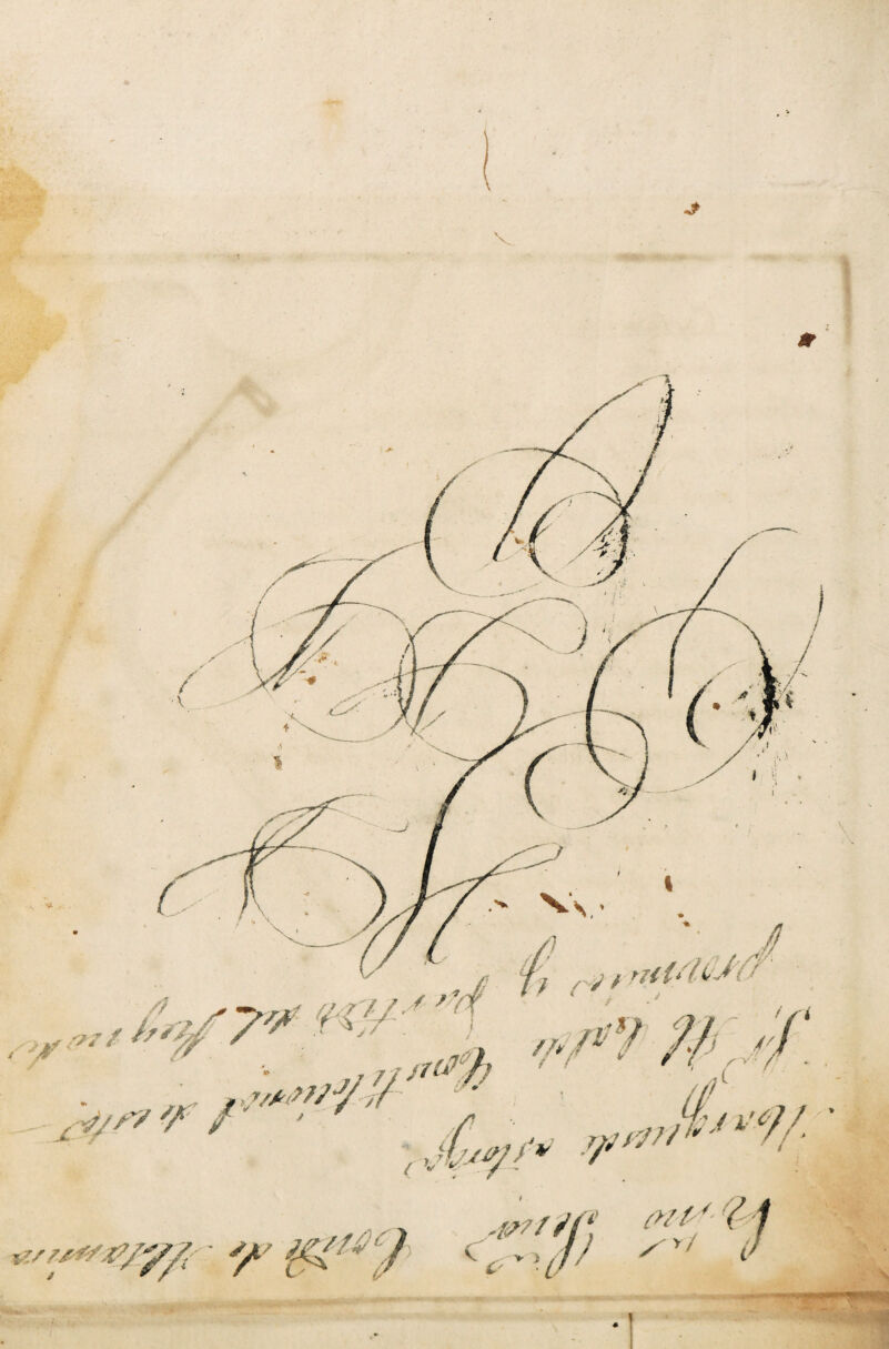 Vv / // / f 7á Yf . ,,J ft r¡triHfMS 'W-: 'T 7/¿i' / : '// y **//