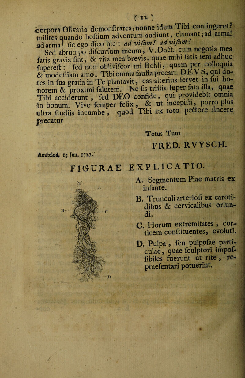 . - < ) corpora Olivaria demonarares,nonne idem Tibi contingeret? milites quando hoftium adventum audiunt, clamant;ad arma, .ad arma ! fic ego dico hic : ad vifum i advifum -. Sed abrumpo difcurfum meum , V. Dodl. cum negotia mea fatis gravia fmt, & vita mea brevis, quae mihi fatis teni adhuc fuperefi: fed non oblivifcor mi Bohli, quem per colloquia & modeftiam amo. Tibi omnia fautta precari. DE VS, qui do¬ tes in fua gratia in Te plantavk, eas alterius fervet in lui ho¬ norem & proximi falutem. Ne fis triilis fuper fata illa, quae Tibi acciderunt , fed DEO confide, qui providebit omnia 'in bonum. Vive femper felix, & ut incepilli, poiua plus ultra ftudiis incumbe , quod Tibi ex toto peftore fincere precatur Totus Tuus FRED. RVYSCH. Amllelod, 15 Jim* 17x7.^' FIGURAE EXPLICATIO. A. Segmentum Piae matris ex infante. B. Trunculi arteriofi ex caroti¬ dibus & cervicalibus oriun¬ di. C. Horum extremitates, cor^ Vicem conllituentes, evoluti. D. Pulpa, feu puippfae parti¬ culae , quae fculptori impof- fibiles fuerunt ut rite, re- praefentari potuerint. /• ■«iK' </'•-iL- ■'' m
