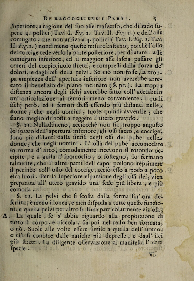 fuperiore,acagione del Tuo affé trafverfo,che di rado fu- pera 4. pollici ( Tav.-L F/g. 2. Tav.il. Fig. 2. ) e dell' affé coniugato , che non arriva a 4. pollici ( Tav. I. Fig. 2. Tav. II. Fìg.i. ) nondimeno quelle mil iare ballano ; poiché Lotto del coccige cede verfo la parte pofteriore, per dilatare Y affé coniugato inferiore, ed il maggior affé lafcia paffare gli omeri del corpicciuolo ftretti, ecomprettì dalla forza de3 dolori, e dagli otti della pelvi. Se ciò non folle,la trop¬ pa ampiezza dell5 apertura inferiore non averebbe arre¬ cato il benefizio del piano inclinato (§. pr. ). La troppa diftanza ancora degli ifchj averebbe fatto colf acetabulo un* articolazione ai femori meno conveniente , i quali ifchj però, ed i femori fteffi effendo più dittanti nelle.* donne , che negli uomini , fuole quindi avvenire , che frano meglio difpofti a reggere Y utero gravido. §. x 1. Nulladimeno, acciocché non fia troppo angufto 10 fpazio dclF apertura inferiore,gli otti facro,e coccige, fono più dittanti dalla finfifi degli otti del pube nelle^* donne, che negli uomini . L’ otta del pube accomodate in forma d’ arco, comodamente ricevono il rotondo oc¬ cipite , e a guila d’ipomoclio , o foilegno, lo fermano talmente, che Y altre parti del capo pottòno reprimere 11 perinèo coll’ otto del coccige, acciò etto a poco a poco efca fuori. Per la (uperiore efpanfione degli otti ilei, vieti preparata all* utero gravido una fede più libera , e più comoda . §. 12. La pelvi che fi fcofta dalla forma fin’ora de¬ ferita , è meno idonea , e men difpoita a tutte quelle funzio¬ ni^ quella pelvi per altro fi ttima particolarmente viziofa ; . La quale , fe s’ abbia riguardo alla propoizione di tutto il corpo, è piccola , fia poi nel retto ben formata, o nò. Suole alle volte effere Amile a quella dell’ uomo, e ciò fi conofce dalle natiche più deprette , e dagl’ ilei più ftretti. La diligente offervazione ci manifetta Y altre fpecie . Vi-