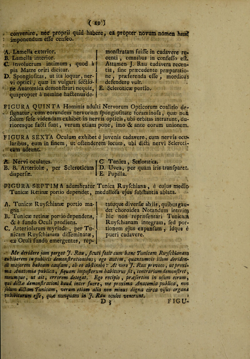 < *P) r convenire, nec proprii quid habere, ea propter novum nomen hau2 i imponendum effe ceafeo. -fA. Lamella exterior. I B. Lamella interior. | €. Involucrum intimum , quod k J pia Matre oriri dicitur. 1 D. Spongiofitas, ut ita loquar, ner-1 vi optici, quae in vulgari fe6lio-1 ? ne Anatomica demonftrari nequit, quapropter a nemine ha&enusde- monftratam fuiffe in cadavere re* eenti , omnibus in confeffo eft. Attamen J. Rau cadavera recen¬ tia, fine praecedente praeparatio¬ ne , praeferenda effe , mordicus defendere vulr. E, Scieroticae portio.’ FIGURA QUINTA Hominis adulti Nervorum Opticorum coalitio da* - lignatur, cum eorundem nervorum fpongiofitate foraminofa, qua? non folum fefe videndam exhibet innervis opticis, ubi orbitas intrarunt, du- rioresque fa£U funt, verum etiam pone, imo & ante eorum unionem. ».. . FIGURA SEXTA Oculum exhibet e juvenis cadavere, eum nervis ocu* laribus, eum in finem, ut offenderem locumy ubi di£li nervi Scleroti- catn adeunt. Nervi oculares. B. B. Arteriolae , per JScleroticam disperfae. C Tunica, Sceloratfca. D. Uvea, per quam iris tranfparet» E. Pupilla. FIGURA SEPTIM A adumbratur Tunica Ruyfchiana , e cujus medio Tunicae Retinae portio dependet, medullofa ejus fubffantia ablata. A. Tunicae Ruyfchianae portio ma¬ gna. - • B. Tunicae retinae portio dependens, & e fundo Oculi prodiens. C. Arteriolarum myriades, per Tu¬ nicam Ruyfcbianam diffeminatae, ex Oculi fundo emergentes, rep¬ tatuque diverfae abiis, quibusgau- det choroidea Notandum interim hic non repraefentari Tunicam Ruyfchianam integram, fed por¬ tionem ejus expanfam 5 idqus e pueri cadavere. Me deridere jam pergat J. Rau, fi cuti fecit cum hancTunicam Ruyfchianam inhiberem in publicis demonftrationibus; ego autem, quantumvis illum deriden» di majorem habeam caufam, ah eo ab/iinebo r At veroj. Rau provoco, utproxU ma Anatomia publica, fiquam impofterunt habiturus Jit, contrarium demonflr et y meumque, ut ait, errorem detegat. Ego recipio , prafertim in ufum eorum, qui dici<e dtmonftrationi haud inter fuere, me proxima Anatomia publica, non folum di fiam Tunicam, verum piam alia non minus digna circa vifus organa exhibiturum ejfe, qu& nunquam in J. Rau oculos, venerunt^ * D j FIGU*