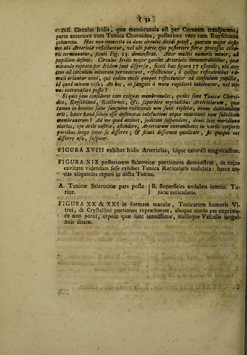 < VO : 4\ NB. Circulus Iridis; quae membranula efl: per Corneam tranfparens, parte anteriore cum Tunica Choroidea, pofteriore vero cum Ruyfchiana cohaerens. Hac non immerito in duos circulos dividi poteft, quorum major de fi* init ubi Arteriola refleffiuntur, vel ubi parte ejus pofteriore fibra proceffus cilia*' rh' terminantur, fi cuti Fig. 13. demon fi rat. Alter multis numeris minor, ad pupillam definit. Circulus Iridis major gaudet Arteriolis innumerabilibus, qua mirando reptatu per Iridem funt difperfa, ficuti hac figura 17 offendit; ubi au~ i em ad cir eidum minorem pervenerunt, reflectuntur, e quibus reflexionibus ra¬ muli oriuntur novi, qui eodem modo quoque reflectuntur ad confinium pupilla, id quod 'mirum vi fu; An hoc, ut fanguis d motu rapidiori inhibeatur, vel mj- ms extravafari poftitl Si quis jam confideret tam exiguas membranulas, quales funt tunica Choroi¬ dea 5 Ruyfchiana, Retiformis, &c. fuperbire myiadibus Arteriolarum, tamen in homine fano f anguine rubicundo non funt repleta, 00000 dubitandum erit, hasce haud folum effe deftinatas calefactioni atque nutritioni tam fubtiliim membranarum ? 700 attinet, judicum Jufpendam, J0000 /«00 meridiana darius, ope artis nofira, ofiendero, Arteriarum extremitates in variis corporis partibus longe inter fe differre ; & ficuti differunt qualitate, /0 quoque eas differre ufu, fufpicor. ? * 1 -'V 'FIGURA XVIII exhibet Iridis Arteriolas, idque naturali magnitudine. .-i ... *fV* * ... FIGURA XIX pofteriorem Scleroticas portionem demonftrat, in cujus cavitate videndam fefe exhibet Tunica Reticularis uudulata: hasce ua* - ^das aliquoties reperi in di6ta Tunica. wi I • - -- - A. Tunicas Scleroticas pars polle* ! B. Superficies undulata interio. Tu- xipr. . I nicas reticularis. , •  . f ■ -. ■ - * f -. . ,v ‘ - - ■ - '  , \ * ' . ■ • FIGURA XX & XXI in formam maculas, Tunicarum humoris Vi¬ trei, & Cryfballini portiones repraefentant, alioque modo eas exprime¬ re non potui, utpote quas fune tenuiffimas, nuilisque Yafculis langui- neis ditatas.