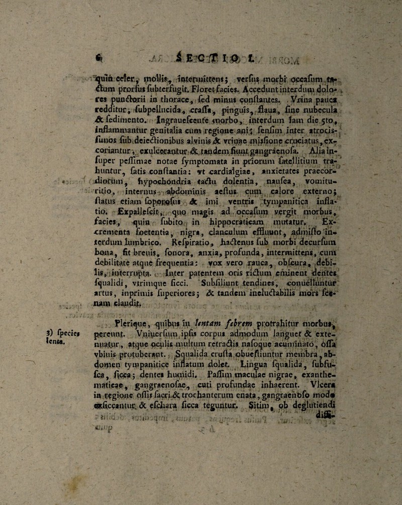quiri cefer ,* mollis^ intermittens; vcrfus morbi occafum tn» dura prorfus fubterfugtt. FJoret facies. Accedunt interdum dolo* , res pandorii in thorace., fed minus conflantes. Vrina pauca redditur^ fubpeilncida, crafTa, pinguis, flaua, line nubecula fedimento. Jngrauefcente morbo, interdum 5am die 5to, inflammantur genitalia cum regione ani/* fenlim inter atrocis- Funos fiib deiedionibus alvinis &. vrinae misfione cruciatus, ex¬ coriantur •, exulcerantur ^ tandem fliuugangraenofa. Alia in- fuper pcflimac notae fymptomata in priorum fate!litium tra¬ huntur, fatis conflantia: <vt cardiaigiae, anxietates praecor- ♦ . (diorum, hypochondria tadu dolentia, naufea, vomitu- ritio, internus abdominis aeflus cum calore externo; flatus etiam fbppj^fiis Jc imi ventris tympanitica infla¬ tio. Expallefeitquo magis ad . occafum y.ergit morbus , facies, quin fubito in hippocraflcam mutatur. Ex¬ crementa foetentia, nigra, clanculum effluunt, admiflo in¬ terdum lumbrico. Rcfpiratio, hadenusfub morbi dccurfutn bona, fit breuis, fonora, anxia, profunda, intermittens, cum debilitate atque frequentia; vox vero rauca, obfeura, debi¬ lis, interrupta.; Inter patentem oris ridum eminent dentes fqualidi, vtrimque ficci. Subfiliunt tendines, conuelluntur artus, inprlmis fnperioresj <5c tandem ineludabilis mors fce* ..,. nam claudit. 3) fpeciej lenta. Plerique, quibus in Untam febrem protrahitur morbus, pereunt. Vniucrfum .ipfis corpus admodum languet <5t exte¬ nuatur, atque oculis multum retradis nafoque acuminato , 6 fla vbiuis protuberant. Squalida crufla obuefliuntur membra,ab¬ domen tympanitice inflatum dolet. Lingua fqualida, fubfu- £ba, flcca; dentes humidi. Faflim maculae nigrae, exanthe¬ maticae, gangracnofae, cuti profundae inhaerent. Vlcer* in regione oflis facrL& trochanterum enata, gangraehbfo modo craficcantur. <3c efchara ficca teguntur. Sitim, ob dcglutiendi difli»