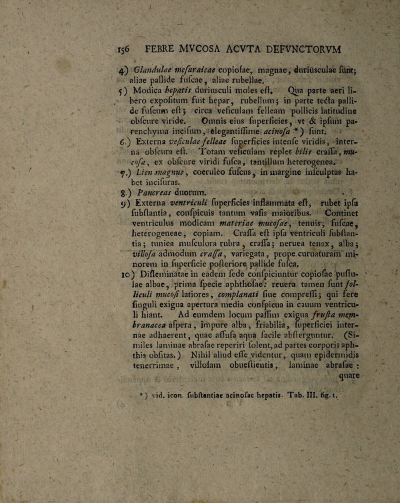 i 156 FEBRE MVCOSA ACVTA DEFVNCTORVM 4) Glandulae mefaraicae copiofae, magnae, duriusculae funt; aliae pallide fuicae, aliae rubellae. 5) Modica hepatis duriusculi moles e(R Qua parte aeri Ii- , hero expolitum fuit hepar, rubellum; in parte tetfla palli¬ de fufcum efl; circa veficulam felleam pollicis latitivdine oblcure viride. Omnis eius fuperficies , vt & ipfum pa¬ renchyma incifum, elegantiflime acinofa *) funt. 6.) Externa ve ficulae felleae fuperficies intenfe viridis, inter, na obfcura efl. Totam vefictilam repletfoY/7 craifa,m«- cofa, ex obfcure viridi fufca, tantillum heterogenea. yi) Lien magnus, coeruleo fufcus, in margine infculptas ha¬ bet inci furas. g.) Pancreas duorum. 9) Externa ventriculi fupejficies inflammata efl, rubet ipfa fubftantia, confpicuis tantum vafis maioribus. Continet ventriculus modicam materiae mucofae, tenuis, fufcae, heterogeneae, copiam. Crafla efl ipfa ventriculi fubflan- tia; tunica mufculora rubra , crafla; neruea tenax, alba; villofaadmodum craffa, variegata, prope curuaturam'mi¬ norem in fuperficie pofleriore pallide fufca* 10) Diflcminatae in eadem fcde confpiciuntur copiofae pufiii- lae albae, prima fpecie aphthofae; reuera tamen funt fol¬ liculi mucofi latiores, complanati fiue comprefli; qui fere finguli exigua apertura media confpieua in cauum ventricu¬ li hiant. Ad eumdem locum paflim exigua frufta mejn- branacea afpera, impure alba, friabilia, fuperficiei inter¬ nae adhaerent, quae afltifa aqua facile abflerguntur. (Si- miles laminae abrafae repcriri lolent,ad partes corporis aph¬ this obfitas.) Nihil aliud efle videntur, quam epidermidis tenerrimae , villolam obueflientis, laminae abrafae : quare