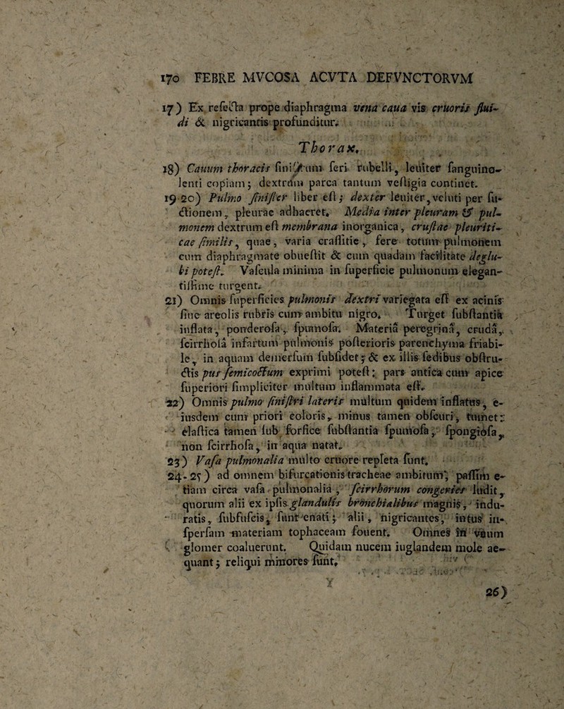 -/* i7o FEBRE MVCOSA ACVTA DEFVNCTORVM 17) Ex refeifla prope diaphragma vena cana vis crtior&r flui¬ di di nigricantis profunditur, .. . Thorax• ■ * x is) Cauum thoracis finitum feri rubelli 5 leniter fanguina- lenti copiam 5 dextrum parca tantum vefligia continet. 19 20) Pulmo Jiniflcr liber efl; dexter leniter ,vcluti per fu¬ sionem y pleurae adhaeret* Media inter pleuram & pul¬ monem dextrum efi membrana inorganica, cruftae pleuriti- cae fimilis, quae, varia craflitie , fere totum pulmonem cum diaphragmate obueflit & cum quadam facilitate deglu¬ bi potefl* Vafeula minima in fuperficie pulmonum elegan¬ ti iHme turgent- di) Omnis fuperficies pulmonis dextri variegata eff ex acini$: /lue areolis rubris cum ambitu nigro* Turget fubftantia inflata , porrderofa,. fpumofa; Materia peregrina, cruday fcirrhola infartum pulmonis poflerioris-parenchyma friabi¬ le T in aquam demerfum fubfidet;& ex illis fedibus obfiru- <Ais pus femicoffum exprimi potefl; pars antica cum apice fuperiori fi mp lici ter multum inflammata eti- 22) Onmis pulmo finiflri laterir multum quidem inflatus, e- iusdem cum priori coloris y minus tamen obfcuri, tumet r «'• elaflica tamen lub forfice fubflantia fpumofafpongiofay non fcirrhofa y irr aqua natari 23) Vafa pulmonalia multo cruore repleta fiinf* 24-2?) ad omnem bifurcationis tracheae ambitum*, paffim e- tiam circa vafa pulmonalia , fcirrhorum congeries ludit, quorum alii ex ipiisglandulis branchialibus magnis, indu- ‘ ratis, fubfufeis 4 funt enati; alii, nigricantes, intus in- fperfam materiam tophaceam fouent. Omnes in vouin glomer coaluerunt. Quidam nucem iuglandem mole ae¬ quant $ reliqui minores funt*