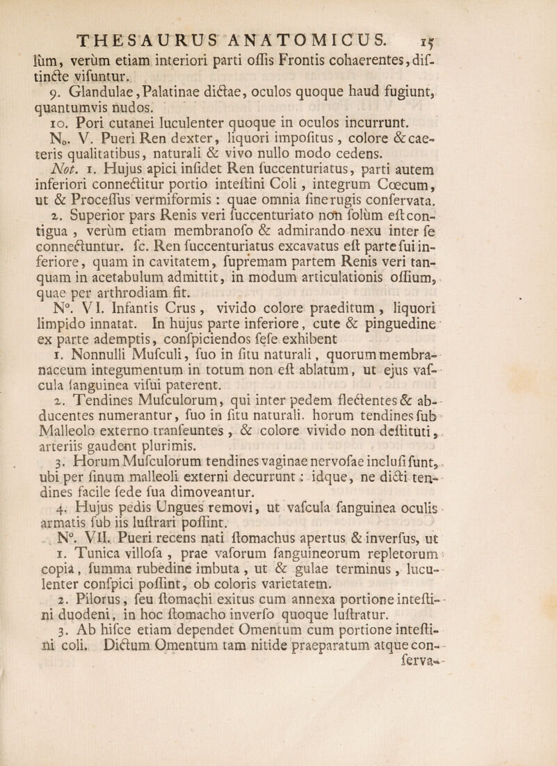 lum, verum etiam interiori parti offis Frontis cohaerentes, dif¬ finde vifuntur. 9. Glandulae,Palatinae didae, oculos quoque haud fugiunt, quantumvis nudos. 10. Pori cutanei luculenter quoque in oculos incurrunt. N0. V. Pueri Ren dexter, liquori impofitus, colore &amp; cae¬ leris qualitatibus, naturali &amp; vivo nullo modo cedens. Not. 1. Hujus apici infidet Ren fuccenturiatus, parti autem inferiori conneditur portio inteffini Coli, integrum Coecum, ut &amp; Proceflus vermiformis: quae omnia fine rugis confervata. x. Superior pars Renis veri fuccenturiato non folum e fi: con¬ tigua , verum etiam membranofo &amp; admirando nexu inter fe conneduntur. fc. Ren fuccenturiatus excavatus eft parte fui in¬ feriore, quam in cavitatem, fupremam partem Renis veri tan- quam in acetabulum admittit, in modum articulationis offium, quae per arthrodiam fit. N°. VI. Infantis Crus, vivido colore praeditum, liquori limpido innatat. In hujus parte inferiore, cute &amp; pinguedine * ex parte ademptis, confpiciendos fefe exhibent 1. Nonnulli Mufculi, fuo in fitu naturali, quorum membra¬ naceum integumentum in totum non eft ablatum, ut ejus vaf- cula (anguinea vifui paterent. x. Tendines Mufculorum, qui inter pedem fledentes&amp; ab-- ducentes numerantur, fuo in fitu naturali, horum tendinesfub- Malleolo externo tranfeuntes , &amp; colore vivido non deftituti, arteriis gaudent plurimis. 3. Horum Mufculorum tendines vaginae nervofae inclufifunt,, ubi per finum malleoli externi decurrunt: idque, ne didi ten¬ dines facile fede fua dimoveantur. 4. Hujus pedis Ungues removi, ut vafcula fanguinea oculis armatis fub iis luftrari poffint. N°. VII. Pueri recens nati ftomachus apertus &amp; inverfus, ut 1. Tunica villofa , prae vaforum fanguineorum repletorum : copia, fumma rubedine imbuta , ut &amp; gulae terminus, lucu¬ lenter confpici poffint, ob coloris varietatem. 2. Pilorus, feu ftomachi exitus cum annexa portione intefti- - ni duodeni, in hoc ftomacho inverfo quoque luftratur. 3. Ab hifce etiam dependet Omentum cum portione intefti- ni coli. Didum Omentum tam nitide praeparatum atque con- - ferva- -