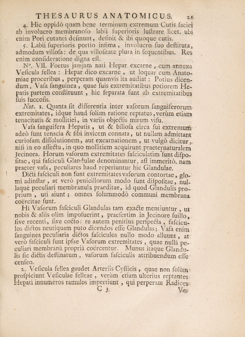 4. Hic oppido quam bene terminum extremum Cutis faciei ab involucro membranofo labii fuperioris luftrare licet, ubi enim Pori cutanei definunt, definit &amp; ibi quoque cutis. 5-. Labii fuperioris portio infima, involucro fuo deftituta, admodum villofa: de qua villolitate plura in fequentibus. Res enim confideratione digna eli. N°. VII. Foetus jamjam nati Hepar excarne , cum annexa Veficula fellea : Hepar dico excarne , ut loquar cum Anato- tniae proceribus, perperam quamvis ita audiat: Potius dicen¬ dum, Vafa fanguinea , quae fuis extremitatibus potiorem He¬ patis partem confUtuunt , hic fe par at a funt ab extremitatibus luis luccofis. Not. 1. Quanta fit differentia inter yaforum fanguiferorum extremitates, idque haud foliim ratione reptatus,verum etiam tenacitatis &amp; mollitiei, in variis objedis mirum vifu. Vafa fanguifera Hepatis , ut &amp; biliofa circa fui extremutf» adeo funt tenacia &amp; libi invicem connata, ut nullam admittant curiofam diffolutionem, aut excarnationem , ut vulgo dicitur y. nili in eo affeftu, in quo mollitiem acquirunt praeternaturalem Jecinora. Horum vaforum extremitates fafciculatim 'funt difpo- fitae, qui fafciculi Glandulae denominantur, aft immerito, nam praeter vafa, peculiares haud reperiuntur hic Glandulae. Didi fafciculi non funt extremitates vaforum contortae, glo- mi adinflar , at vero penicillorum modo funt difpofitae, nui- laque peculiari membranula praeditae, id qtiod Glandulis pro¬ prium , uti aiunt; omnes lblummodo communi membrana coercitae funt. Hi Vaforum fafciculi Glandulas tam exade mentiuntur , ut nobis &amp; aliis olim impofuerint, praefertim in Jecinore fuillo, five recenti, five codo: re autem penitius peripeda , fafcicu- los didos neutiquam puto dicendos efle Glandulas; Vafa enim fanguinea peculiaria didos fafciculos nullo modo alluunt, at- vero fafciculi funt ipfae Vaforum extremitates , quae nulla pe¬ culiari membrana propria coercentur. Munus itaque Glandu¬ lis fic didis deftinatum , vaforum fafcicuiis attribuendum effe- cenfeo. 2. Veficula fellea gaudet Arteriis Cyfticis, quae non folhin» profpiciunt Veficulae felleae , verum etiam ulterius reptantes Hepati innumeros ramulos impertiunt , qui perperam Radices . G iL ' ' V&amp;-