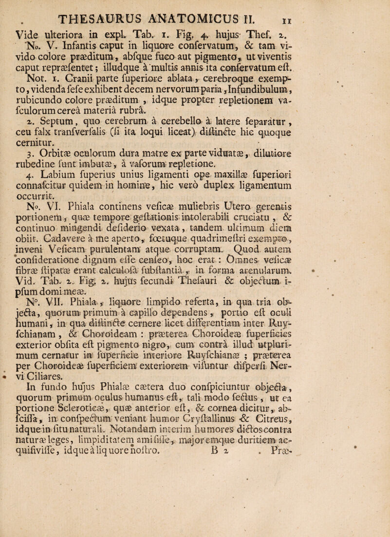 Vide ulteriora in expl. Tab. i. Fig, 4. hujus- Thef. No. V. Infantis caput in liquore confervatum, &amp; tam vi¬ vido colore praeditum, abfque fuco aut pigmenta, ut viventis caput repraefentet; illudque &amp; multis annis ita confervatum eft. Not. 1. Cranii parte fuperiore ablata, cerebroque exemp¬ to , videnda fefe exhibent decem nervorum paria,Infundibulum, rubicundo colore praeditum , idque propter repletionem va- fculorum cerea materia rubri-. z. Septum, quo cerebrum a cerebello a latere feparatur, ceu falx tranfverialis (11 ita loqui liceat) diltinctc hic quoque cernitur. 3. Orbitae oculorum dura matre ex parte viduatae, dilutiore rubedine funt imbutae , i vaforum repletione. 4. Labium fuperius unius ligamenti ope maxillae fuperiori connafcitur quidem in homine, hic vero duplex ligamentum occurrit. N°. VI. Phiala continens veficae muliebris Utero gerentis portionem, quae tempore geftationis intolerabili cruciatu , &amp; continuo mingendi defiderio vexata, tandem ultimum diem obiit. Cadavere a me aperto, foetuque quadrimeftri exempto , inveni Vefieam purulentam atque corruptam. Quod autem conlideratione dignum efle cenfeo, hoc erat : Omnes- velle® fibrae llipatae erant calculo! a fubftantia , in forma arenularum. Vid. Tab. z. Fig, z. hujus fecundi Thefauri &amp; objedura i- pfum domi meae. N°. VII. Phiala , liquore limpido referta, in qua tria ob» jefta, quorum primum a capillo dependens, portio eft oculi humani, in qua diitinfte cernere licet differentiam inter Ruy- fchianam , &amp; Choroideam : praeterea Choroideae fuperfkks exterior obfita eft pigmento nigro, cum contra illud utpluri- mum cernatur in fuperfieie interiore Ruyfchianae ; praeterea per Choroideae luperficiem exteriorem vimntur difperft, Ner¬ vi Ciliares. In fundo hujus Phialae castera duo confpiciuntur objeda, quorum primum oculus humanus eft, tali modo fedtus , ut ea portione Scleroticae, quae anterior eft, &amp; cornea dicitur, ab- fcilPa, in confpectum veniant humor Cryftallinus &amp; Citreus, idque in litu naturali. Notandum in teri m humores dieloscontra naturae leges, limpiditatem smifiile, major emq-ue duritiem ac- quifivilTe, idque ii liq uore noltro. B z . Prae-