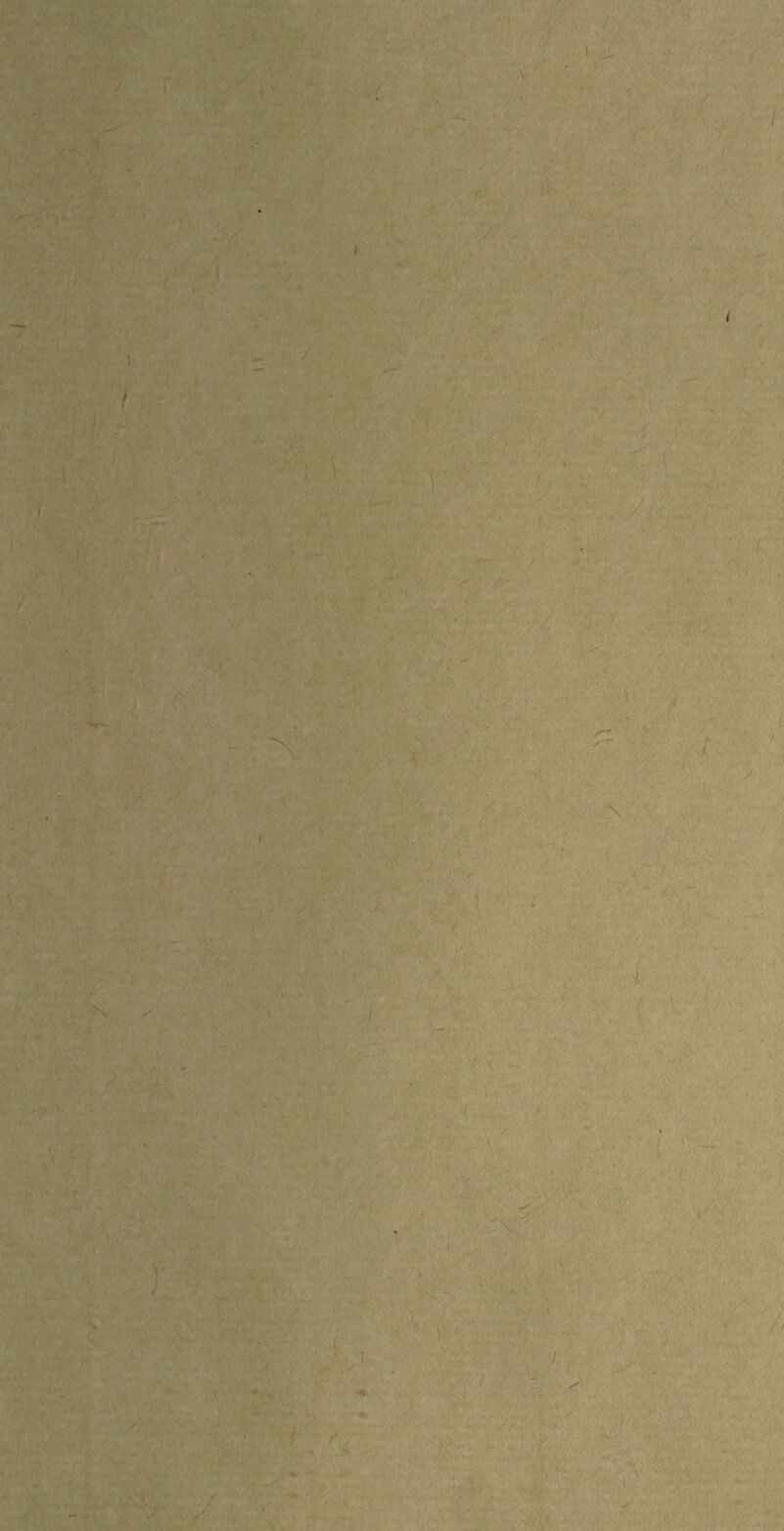 ■\l * . •* '>• • V? ' VI 1 s’ -f A '  ■/ I ■ . . / 1 I • ' ... • - - i' - *■ ' ■ ' V ■ ■ ■ ' r ' • •> . >; > ■ ' A.. ' ' V• /J /