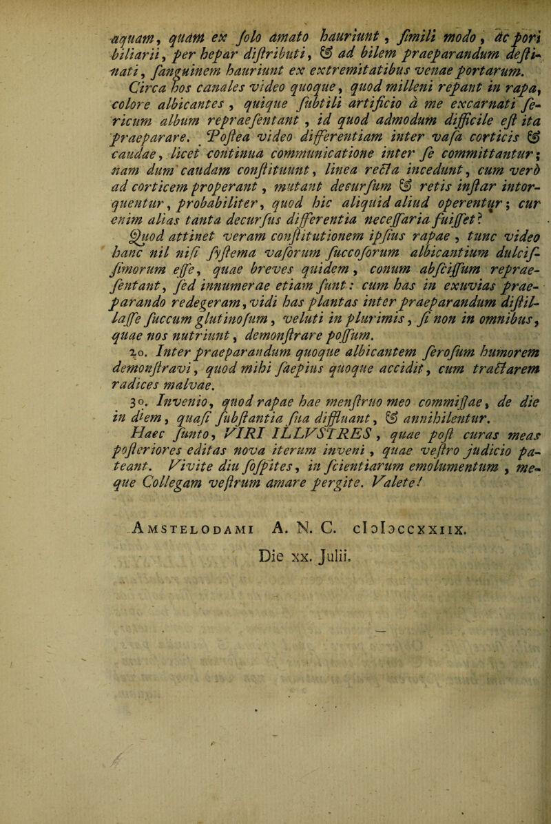 aquam, quam ex fiolo dmato hauriunt, finiit modo, de fori bili arti, fer hepar difiributi, & ad bilem praeparandum defti* nati, fanguinem hauriunt ex extremitatibus venae portarum. Circa hos canales video quoque, quod milleni repant in rapa, colore albicantes , quique fubtili artificio d me excarnati fe- ricum album repraefentant , id quod admodum difficile efi ita praeparare. . Rofiea video differentiam inter vafa corticis & caudae, licet continua communicatione inter fie committantur; nam dum caudam confiituunt, linea refla incedunt, cum vero ad corticem properant, mutant deeurfum & retis infiar intor¬ quentur ^ probabiliter y quod hic aliquid aliud operentur; cur enim alias tanta decurfus differentia necejfaria fuijfet? ffluod attinet veram confiitutionem ipfius rapae 5 tunc video hanc nil nifi fyfiema vaforum fiuccoforum albicantium dulci fi fimorum effie, quae breves quidem, conum abficififium reprae¬ fentant, fed innumerae etiam fiunt: cum has in exuvias prae¬ parando redegeram, vidi has plantas inter praeparandum diftil- lajfie fiuc cum glutinofum, ve luti in plurimis, fi non in omnibus, quae nos nutriunt, demonflrare pojfium. %o. Inter praeparandum quoque albicantem fierofiiim humorem demonfilravi, quod mihi faepius quoque accidit, cum tr a flarem radices malvae. 30. Invenio, quod rapae hae menfirno meo commifijae, de die in diem 3 quafi fubftantia fiha diffluant, & annihilentur. Haec funto, VIRI ILLVSIRES , pofil curas meas poftcriores editas nova iterum in veni, ^7/^ veftro judicio pa¬ teant. Vivite diu fofpites, i;/ fidentiarum emolumentum , me<* que Collegam ve (Irum amare pergite. Valet et .Amstelodami A. N. C. cloIoccxxiix. Die xx. Julii.