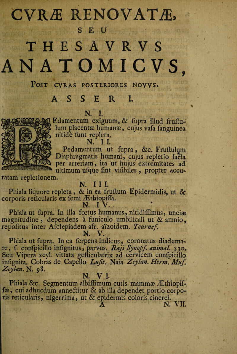 CVKE RENOVATA S E U THESAVRVS AN ATOMICVS, Post cvras posteriores novys. A S S E R L N.' I. Edamentum exiguum, & fupra illud fru(iu¬ lum placentae humana;, cujus vafa fanguinea nitide funt repleta. N. I I. Pedamentum ut fupra, &c. Fruilulum Diaphragmatis humani, cujus repletio fafta per arteriam, ita ut hujus extremitates ad ultimum ufque fint vifibiles , propter accu¬ ratam repletionem. R 1 I I. Phiala liquore repleta, & in ea fruftum Epidermidis, ut & corporis reticularis ex femi iEthiopiffa. R I V. * Phiala ut fupra. In illa foetus humanus, nitidiflimus, unciae magnitudine, dependens a funiculo umbilicali ut & amnio, repofitus inter Afclepiadem afr. aizoidem. Tournef. N. v. Phiala ut fupra. In ea ferpens indicus, coronatus diadema¬ te, f- confpicillo infignitus, parvus. Raji Synopf. animal. 330. Seu Vipera zeyl. vittata geiliculatrix ad cervicem confpicillo infignita. Cobras de Capello Lujit. Naia- Zeylan. Herm. Muf. Zeylan. R 08. R V I. Phiala &c. Segmentum albiflimum cutis mammae Akhiopif- fae, cui adhucdum anneftitur & ab illa dependet portio corpo¬ ris reticularis, nigerrima, ut & epidermis coloris cinerei. A N. VII.