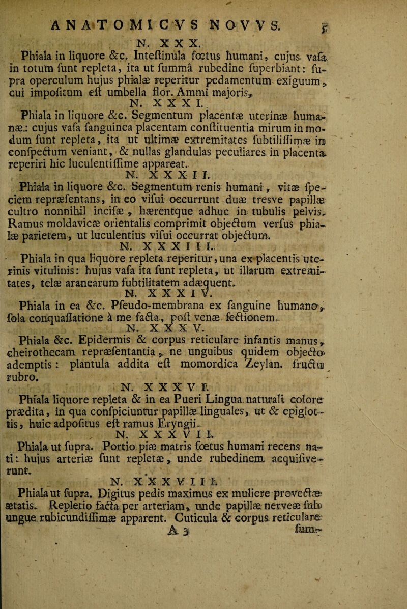 N. X X X. Phiala in liquore &c. Inteftinula foetus humani, cujus vafa in totum funt repleta, ita ut fumma. rubedine fuperbiant: fu- pra operculum hujus phialas reperitur pedamentum exiguum, cui impofitum eft umbella flor. Ammi majoris, N. XXXI. Phiala in liquore &c. Segmentum placentas uterinae huma:- nas.: cujus vafa fanguinea placentam conftituentia mirum in mo¬ dum funt repleta, ita ut ultimae extremitates fubtiliflimas in eonfpedum veniant, & nullas glandulas peculiares in placenta» reperiri hic luculentiflime appareat.. N. XXXI I. Phiala in liquore &c. Segmentum renis humani, vitae fpe- ciem reprsefentans, in eo vifui occurrunt duae tresve papillae cultro nonnihil incifae , haerentque adhuc in tubulis pelvis. Ramus moldavicae orientalis comprimit objeflum verfus phia¬ lae parietem, ut luculentius vifui occurrat objeftura. N. XXXIII.. Phiala in qua liquore repleta reperitur, una ex placentis ute¬ rinis vitulinis: hujus vafa ita funt repleta, ut illarum extremi¬ tates, telae aranearum fubtilitatem adaequent. N. XXXIV. Phiala in ea &c. Pfeudo-membrana ex fanguine humano, fola conquaflatione & me fada, poli venae feftionem. N. XXX V. Phiala &c. Epidermis & corpus reticulare infantis manus, eheirothecam repraefentantiane unguibus quidem obje<5to> ademptis: plantula addita eft momordica Zeylan. frudi ti rubro. , N. X X X V E Phiala liquore repleta & in ea Pueri Lingua naturali colore praedita, in qua confpiciuntur papillae.linguales, ut & epiglot¬ tis , huic adpofitus eft ramus EryngiL N. XXXVII. Phiala ut fupra. Portio piae matris foetus humani recens na¬ ti hujus arteriae funt repletae, unde rubedinem acquiilve- runt. . N. XXXV I I E. Phiala ut fupra. Digitus pedis maximus ex muliere provedl® aetatis. Repletio fafta per arteriam, unde papillae, nerveae fub ungue rubicundiffimae apparent. Cuticula & corpus reticulare A- 3 ' . fsni!»