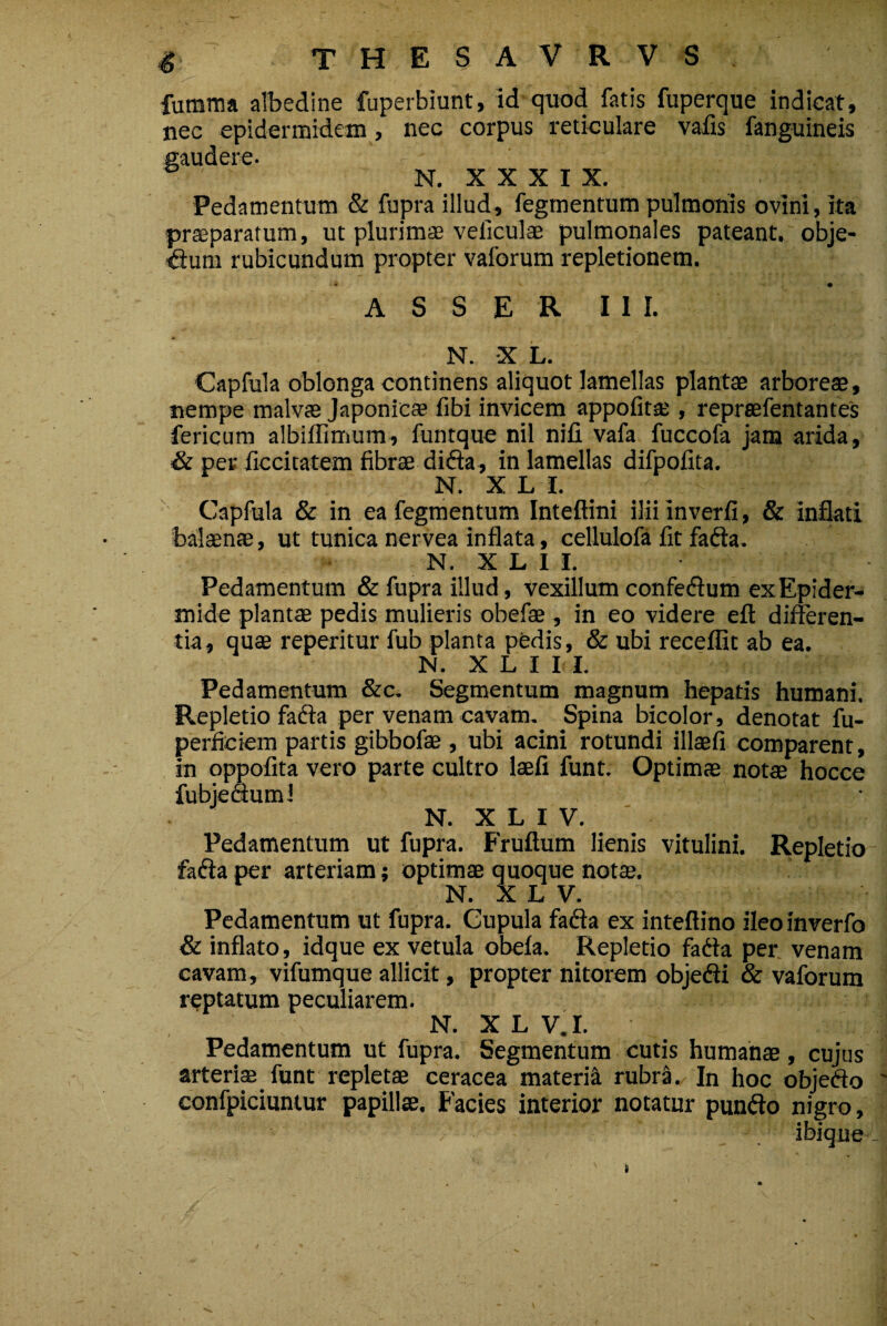 fumma albedine fuperbiunt, id quod fatis fuperque indicat, nec epidermidem, nec corpus reticulare vafis fanguineis gaudere. N. XXXIX. Pedamentum & fupra illud, fegmentum pulmonis ovini, ita praeparatum, ut plurimae veliculae pulmonales pateant, obje- ■diuni rubicundum propter vaforum repletionem. ASSER III. N. X L. Capfula oblonga continens aliquot lamellas plantae arboreae, nempe malvae Japonicae fibi invicem appofitae, repraefentantes fericum albiflimum, funtque nil nifi vafa fuccofa jam arida, & per iiccitatem fibrae difta, in lamellas difpofita. N. X L I. _ ; ■ - ; : ■ ' Capfula & in ea fegmentum Inteftini iliiinverfi, & inflati balaenae, ut tunica nervea inflata, cellulofa fit fafta. N. X L I I. Pedamentum & fupra illud, vexillum confedum ex Epider¬ mide plantae pedis mulieris obefae, in eo videre eft differen¬ tia, quae reperitur fub planta pedis, & ubi recellit ab ea. N. X L I I I. Pedamentum &c. Segmentum magnum hepatis humani. Repletio fadia per venam cavam. Spina bicolor, denotat fu- perficiem partis gibbofae , ubi acini rotundi illaefi comparent, in oppofita vero parte cultro laefi funt. Optimae notae hocce fubjeauml N. X L I V. ■ - ; Pedamentum ut fupra. Fruftum lienis vitulini. Repletio fafta per arteriam; optimae quoque notae. N. X L V. Pedamentum ut fupra. Cupula fafta ex inteftino ileo inverfo & inflato, idque ex vetula obela. Repletio fadta per venam cavam, vifumque allicit, propter nitorem obje&i & vaforum reptatum peculiarem. N. X L V.I. Pedamentum ut fupra. Segmentum cutis humanae, cujus arteris funt repletae ceracea materia rubra. In hoc objefto confpiciuntur papillae. Facies interior notatur punfto nigro, ibique