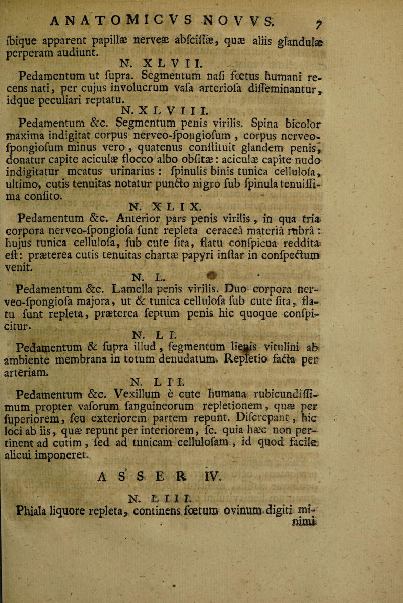 ibique apparent papillae nerveae abfciflae, quae aliis glandulae perperam audiunt. N. X L V I I. Pedamentum ut fupra. Segmentum nafi foetus humani re¬ cens nati, per cujus involucrum vafa arteriola diffeminantur» idque peculiari reptatu. N. X L V I I I. Pedamentum &c. Segmentum penis virilis. Spina bicolor maxima indigitat corpus nerveo-fpongiofum , corpus nerveo- fpongiofum minus vero, quatenus conllituit glandem penis, donatur capite aciculae flocco albo oblitae: aciculae capite nudo indigitatur meatus urinarius: fpinuiis binis tunica cellulola, ultimo, cutis tenuitas notatur punfto nigro fub fpinula tenuiffi- ma confito. N. X L I X. Pedamentum &c. Anterior pars penis virilis, in qua tria; corpora nerveo-fpongiofa funt repleta ceracea materia rubra: hujus tunica cellulofa, fub cute lita, flatu confpicua reddita ett: praeterea cutis tenuitas chartae papyri inftar in confpe&um venit. N. L. * Pedamentum &c. Lamella penis virilis. Duo corpora ner¬ veo-fpongiofa majora, ut & tunica cellulofa fub cute fita, fla¬ tu funt repleta, praeterea feptum penis hic quoque confpi- citur. N. L I. ^ Pedamentum & fupra illud, fegmentum lienis vitulini ab ambiente membrana in totum denudatum. Repletio fadta per arteriam. N. L I I. Pedamentum &c. Vexillum e cute humana rubicundiffi- mum propter vaforum fanguineorum repletionem, quae per fuperiorem, feu exteriorem partem repunt. Difcrepant, hic loci ab iis, quae repunt per interiorem, fc. quia haec non per¬ tinent ad cutim, fed ad tunicam cellulofam , id quod facile alicui imponeret. A S S E R IV. N. L I 11. Phiala liquore repleta, continens foetum ovinum digiti mi- .  nimi