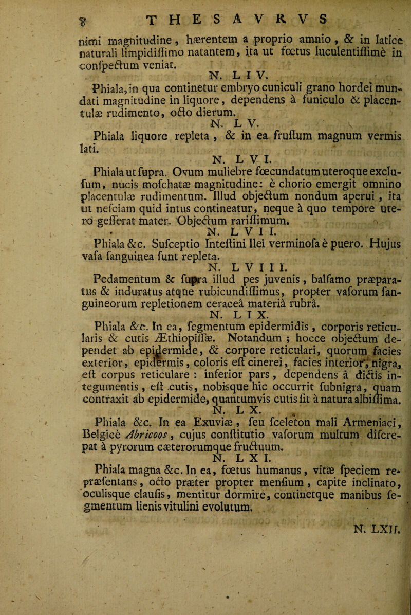 nmi magnitudine, haerentem a proprio amnio, & in latice naturali limpidiflimo natantem, ita ut foetus luculentiflim6 in confpedum veniat. N. L I V. Phiala,in qua continetur embryo cuniculi grano hordei mun¬ dati magnitudine in liquore, dependens a funiculo deplacen- tulae rudimento, odo dierum. N. L V. \ Phiala liquore repleta , & in ea frudum magnum vermis lati. .. :: N. L V I. Phiala ut fupra. Ovum muliebre foecundatum uteroque exclu- fum, nucis mofchat® magnitudine: e chorio emergit omnino placentulae rudimentum. Illud objedum nondum aperui , ita ut nefciam quid intus contineatur, neque k quo tempore ute¬ ro geflerat mater.. Objedum rariffimum. N. L V I I. Phiala &c. Sufceptio Intellini Ilei verminofa e puero. Hujus vafa fanguinea funt repleta. N. L V I I I. Pedamentum & fupra illud pes juvenis, balfamo praepara¬ tus & induratus atque rubicundiflimus, propter vaforum fan- guineorum repletionem ceracea materia rubra. N. L I X. Phiala &c. In ea , Tegmentum epidermidis, corporis reticu¬ laris & cutis dEthiopiilae. Notandum ; hocce objedum de¬ pendet ab epidermide, & corpore reticulari, quorum facies exterior, epidermis, coloris eft cinerei, facies interior', nigra, eft corpus reticulare : inferior pars, dependens a didis in- , tegumentis, eft cutis, nobisquehic occurrit fubnigra, quam contraxit ab epidermide, quantumvis cutis fit k natura albiffima. N. L X. Phiala &c. In ea Exuviae, feu fceleton mali Armeniaci, Belgice Abricoos, cujus Gonftitutio vaforum multum difcre- pat k pyrarum caeterorumque fruduum, N. L X I. Phiala magna &c. In ea, foetus humanus, vitae fpeciem re* praefentans, odo praeter propter menfium, capite inclinato, oculisque claufis, mentitur dormire, continetque manibus Te¬ gmentum lienis vitulini evolutum. N. LX1/.