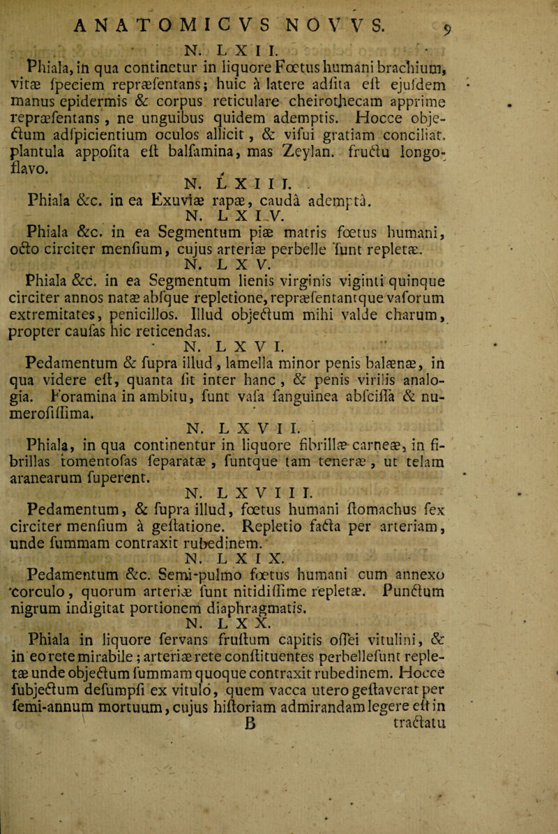 N. L x I i. Phiala, iti qua continetur in liquore Foetus humani brachium, vitae ipeciem repraefentans; huic a latere adfita eit ejufdem manus epidermis & corpus reticulare cheirothecam apprime repraefentans, ne unguibus quidem ademptis. Hocce obje- ftum adfpicientium oculos allicit, & vifui gratiam conciliat, plantula appofita eit balfamina, mas Zeylan. fruflu longo- flavo. N. LXIII. Phiala &c. in ea Exuviae rapae, cauda adempta. N. L X I_V. Phiala &c. in ea Segmentum piae matris foetus humani, odio circiter menfium, cujus arteriae perbelle 'funt repletae. N. L X V. Phiala &c. in ea Segmentum lienis virginis viginti quinque circiter annos natae abfque repletione,repraefentantque vaforum extremitates, penicillos. Illud objefium mihi valde charum, propter caulas hic reticendas. N. L X V I. Pedamentum & fupra illud , lamella minor penis balaenae, iti qua videre eit, quanta iit inter hanc , & penis virilis analo¬ gia. Foramina in ambitu, funt vafa fanguinea abfciffa & nu- merofiffima. N. L X V I I. Phiala, in qua continentur in liquore fibrillae-carneae, in fi¬ brillas tomentofas feparatae, funtque tam tenerae, ut telam aranearum fuperent. N. L X V I I I. Pedamentum, & fupra illud, foetus humani ftomachus fex circiter menfium a geftadone. Repletio fafta per arteriam, unde fummam contraxit rubedinem. N. L X I X. Pedamentum &c. Semi-pulmo foetus humani cum annexo 'Corculo, quorum arteriae funt nitidiffime repletae. Punftum nigrum indigitat portionem diaphragmatis. N. L X X. Phiala in liquore fervans fruftum capitis ofiei vitulini, & in eo rete mirabile; arteriae rete confli tuentes perbellefunt reple¬ tae unde objeftum fummam quoque contraxit rubedinem. Hocce fubjeftum defumpfi ex vitulo, quem vacca uterogeflaverat per femi-annum mortuum, cujus hiftoriam admirandam legere eft in ' ' > B tradam