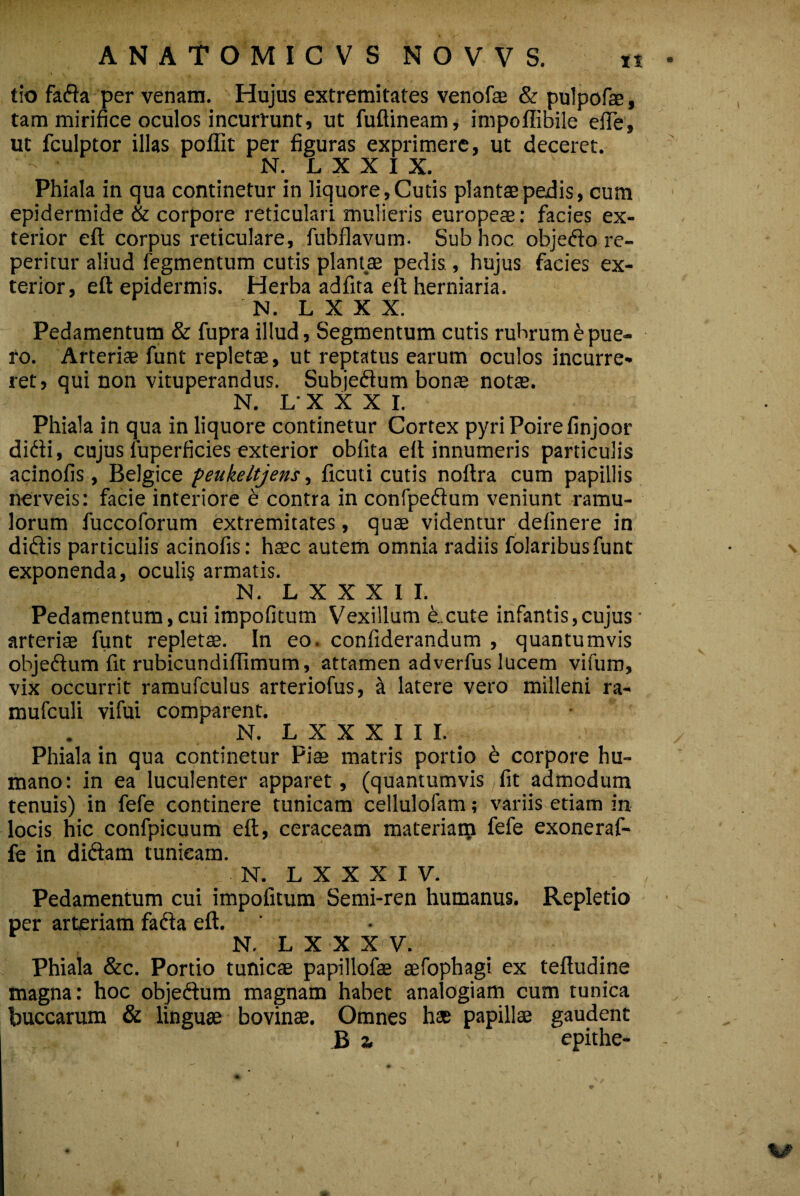 t!o fafta per venam. Hujus extremitates venofas & pulpofae, tam mirifice oculos incurrunt, ut fuftineam, impoflibile elfe, ut fculptor illas poffit per figuras exprimere, ut deceret. ' N. L X X I X. Phiala in qua continetur in liquore. Cutis plantae pedis, cum epidermide & corpore reticulari mulieris europeae: facies ex¬ terior eft corpus reticulare, fufaflavum. Sub hoc objefto re- peritur aliud Tegmentum cutis plantae pedis, hujus facies ex¬ terior, eft epidermis. Herba adfita eft herniaria. N. L X X X. Pedamentum & fupra illud, Segmentum cutis rubrum e pue¬ ro. Arteriae funt repletae, ut reptatus earum oculos incurre¬ ret, qui non vituperandus. Subjeftum bonae notae. N. L' X X X I. Phiala in qua in liquore continetur Cortex pyriPoirefinjoor didii, cujus luperficies exterior obfita eft innumeris particulis acinofis, Belgice peukeltjens, ficuti cutis noftra cum papillis nerveis: facie interiore e contra in confpedium veniunt ramu¬ lorum fuccoforum extremitates, quae videntur delinere in diftis particulis acinofis: haec autem omnia radiis folaribusfunt exponenda, oculis armatis. N. L X X X I I. Pedamentum, cui impolitum Vexillum b.cute infantis,cujus arteriae funt repletae. In eo. confiderandum , quantumvis objeftum fit rubicundillimum, attamen adverfus lucem vifum, vix occurrit ramufculus arteriofus, a latere vero milleni ra- mufculi vifui comparent. N. L X X X I I I. Phiala in qua continetur Piae matris portio £ corpore hu¬ mano: in ea luculenter apparet, (quantumvis fit admodum tenuis) in fefe continere tunicam cellulofam; variis etiam in locis hic confpicuum eft, ceraceam materiaip fefe exoneraf- fe in didtam tunicam. N. L X X X I V. Pedamentum cui impofitum Semi-ren humanus. Repletio per arteriam fadta eft. N. L X X X V. Phiala &c. Portio tunicae papillofae aefophagi ex teftudine magna: hoc objeftum magnam habet analogiam cum tunica buccarum & linguae bovinae. Omnes has papillae gaudent B * epithe-