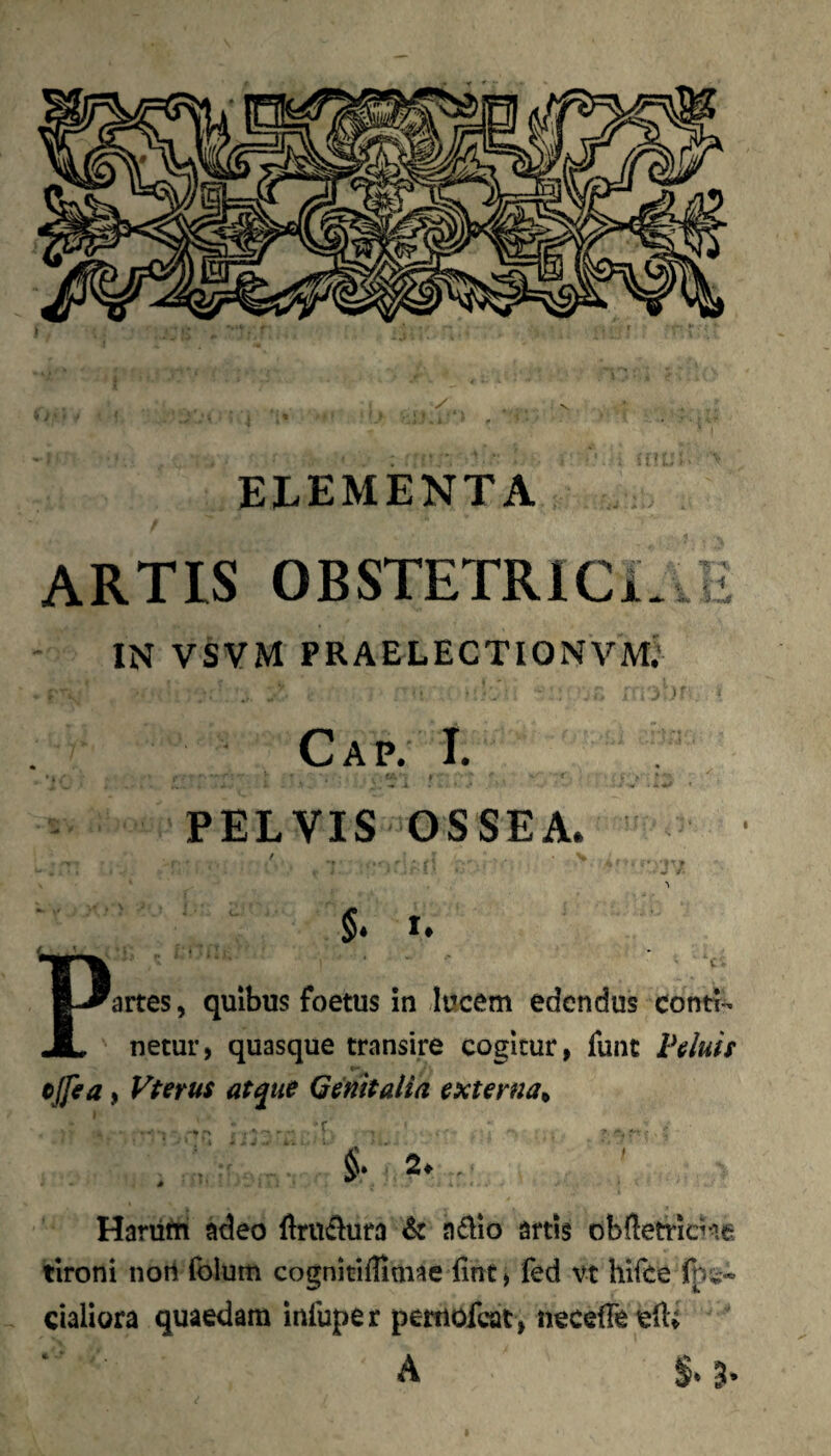 r ELEMENTA artis OBSTETRICL.E IN VSVM PRAELECTIONVM;’ Ca p. I. 4 . ■ -4 * PELVIS OSSEA. §. t. P' ’ . ' . ' ’ artes, quibus foetus in lucem edendus conti¬ netur, quasque transire cogitur, funt Peluft cjfea, Furus atque Genitalia externa^ §- 2.. Hani^ii adeo {iru\flura adio artis obftetriciie tironi nort folum cognitifllmae iint, fed vt hifce fpt- cialiora quaedam infuper pemofcac, necefFeell:» A