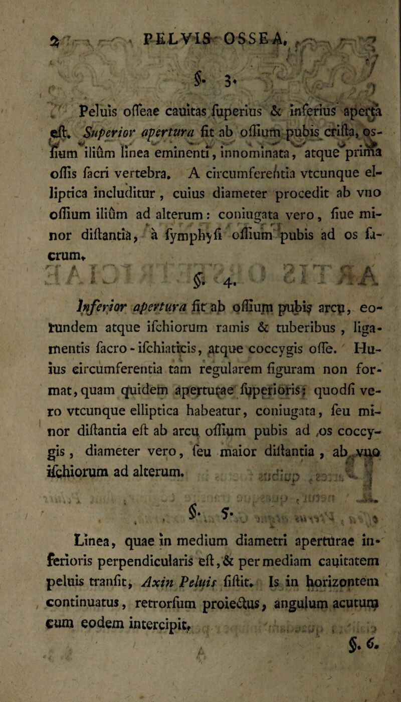 : l ^ ' i §■ 3’ •*■ ' ■# •/ r - ~ ) ! ' Peluis ofleae cauitas fuperms & inferius apei^a cft* fit ab oflium pubis^crlfta, os- • lium ilium linea eminenu, innominata, atque prima ofiis lacri vertebra* A circumfere/itla vtcunque el- I» liprica includitur, cuius diameter procedit ab vno oflium ilium ad alterum: coniuffata vero, fiue mi- nor diltantia, a fymph^fi ofiium pubis ad os fa- crum^ •i fl $• 4' T r*t f r:' .A i** Inferhr apertura fir ab pfiiu|n pubis arcp, eo- tundem atque ifchiorum ramis & tuberibus , liga¬ mentis facro - ifchiatkis, atque coccygis ofTe. Hu¬ ius circumferentia tam regularem figuram non for¬ mat, quam quidem apejrtu^^ae fuperioris? quo dii ve¬ ro vtcunque elliptica habeatur, coniugata, feu mi¬ nor diftantia eft ab arcu ofiium pubis ad ,os coccy¬ gis, diameter vero, feu maior dillantla , ab^JV^o ifchiorum ad alterum. ^ \ V V- v w • i.,/ , J..J • i Linea, quae in medium diametri apertilrae in¬ ferioris perpendicularis efi, & per mediam cauitatem peluis tranfit, Axin Peluis fiftit* Is in borizontein , continuatus, retrorfiim proie^tus; angulum acutuna cum eodem intercipit, ., ,,