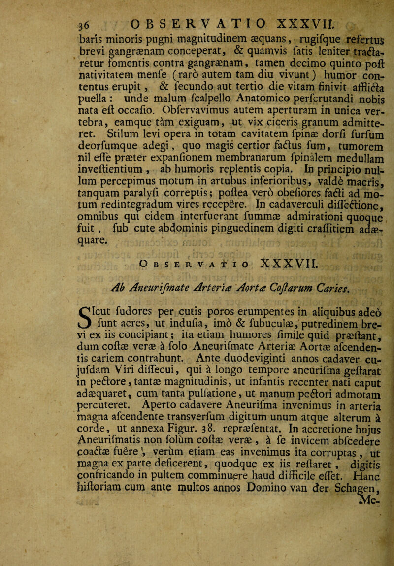 baris minoris pugni magnitudinem aequans, rugifque refertus brevi gangraenam conceperat, & quamvis fatis leniter trafta- retur fomentis contra gangraenam, tamen decimo quinto poft nativitatem menfe (raro autem tam diu vivunt) humor con¬ tentus erupit, & fecundo aut tertio die vitam finivit affli&a puella : unde malum fcalpello Anatomico perfcrutandi nobis nata eft occafio. Obfervavimus autem aperturam in unica ver¬ tebra , eamque t&m exiguam, ut vix ciceris granum admitte¬ ret. Stilum levi opera in totam cavitatem fpinae dorfi furfum deorfumque adegi, quo magis certior faftus fum, tumorem nil elfe praeter expanfionem membranarum fpinalem medullam inveftientium , ab humoris replentis copia. In principio nul¬ lum percepimus motum in artubus inferioribus, valde macris, tanquam paralyfi correptis; poftea vero obefiores fafti ad mo¬ tum redintegradum vires recepere. In cadaverculi difleftione, omnibus qui eidem interfuerant fummae admirationi quoque fuit, fub cute abdominis pinguedinem digiti craffitiem adae¬ quare. Observatio XXXVII. Ab Aneurifmate Arteria Aorta Cojfarum Caries. Sicut fudores per cutis poros erumpentes in aliquibus adeo funt acres, ut indufia, imo & fubuculae, putredinem bre¬ vi ex iis concipiant; ita etiam humores fimile quid praeftant, dum coftae verae k folo Aneurifmate Arteriae Aortae afcenden- tis cariem contrahunt. Ante duodeviginti annos cadaver cu- jufdam Viri diffiecui, qui it longo tempore aneurifma geftarat in peftore, tantae magnitudinis, ut infantis recenter nati caput adaequaret, cum tanta pulfatione, ut manum peftori admotam percuteret. Aperto cadavere Aneurifma invenimus in arteria magna afcendente transverfum digitum unum atque alterum k corde, ut annexa Figur. 38- repraefentat. In accretione hujus Aneurifmatis non folum coftae verae , 4 fe invicem abfcedere coaftae fuere i, verum etiam eas invenimus ita corruptas , ut magna ex parte deficerent, quodque ex iis reflaret, digitis confricando in pultem comminuere haud difficile effiet. Hanc hiftoriam cum ante multos annos Domino van der Schagen,