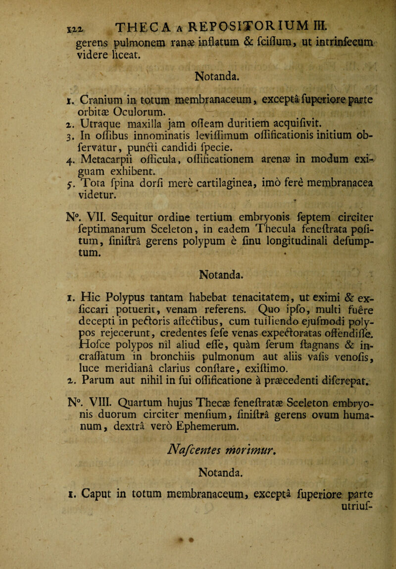 gerens pulmonem ranae inflatum & fciflum, ut intrinfecum videre liceat. . •' t Notanda. i. Cranium in totum membranaceum, excepta fuperiore parte orbitae Oculorum. i. Utraque maxilla jam ofleam duritiem acquifivit. 3. In oflibus innominatis levifiimum ollificationis initium ob- fervatur, punfti candidi fpecie. 4. Metacarpii oflicula, offificationem arenae in modum exi¬ guam exhibent. 5. Tota fpina dorfi mere cartilaginea, imo fere membranacea videtur. N°. VII. Sequitur ordine tertium embryonis feptem circiter feptimanarum Sceleton, in eadem Thecula feneftrata poli¬ tum, finiftra gerens polypum e finu longitudinali defump- tum. Notanda. 1. Hic Polypus tantam habebat tenacitatem, ut eximi & ex- liccari potuerit, venam referens. Quo ipfo, multi fuere decepti in peftoris affeftibus, cum tuiliendo ejufmodi poly¬ pos rejecerunt, credentes fefe venas expeftoratas offendifle. Hofce polypos nil aliud efle, quitm ferum ftagnans & in- craflatum in bronchiis pulmonum aut aliis vafis venofis, luce meridiana clarius conflare, exiflimo. a. Parum aut nihil in fui oflificatione a praecedenti difcrepat. N°. VIII. Quartum hujus Thecae feneftratae Sceleton embryo¬ nis duorum circiter menfium, finiftra gerens ovum huma¬ num , dextra verb Ephemerum. Nafcentes morimur. Notanda. i. Caput in totum membranaceum» excepta fuperiore parte utriuf-