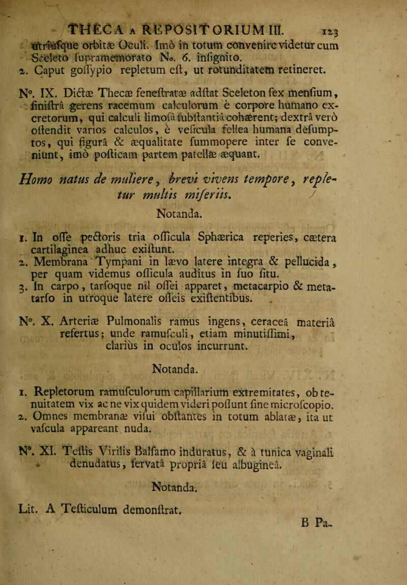 titriufque orbitae Oculi. Imo in totum convenire videtur cum Sceleto fupramemorato No. 6. infignito. i. Caput goflypio repletum eft, ut rotunditatem retineret. N°. IX. Didiae Thecae feneflratae adftat Sceleton fex menfium, iiniftra gerens racemum calculorum e corpore humano ex¬ cretorum, qui calculi limofafubllantia cohaerent; dextra vero oilendit varios calculos, e ve ficula fellea humana defump- tos, qui figura & aequalitate fummopere inter fe conve¬ niunt, imo poilicam partem patellae aequant. Homo natus de muliere, brevi vivens tempore, reple¬ tur multis mtfertts. / Notanda. i. In o(Te pedtoris tria offlcula Sphaerica reperies, cetera cartilaginea adhuc exittunt. a. Membrana Tympani in laevo latere integra & pellucida, per quam videmus oflicula auditus in fuo litu. 3. In carpo, tarfoque nil offei apparet, metacarpio & meta- tarfo in utroque latere olleis exiftentibus. N°. X. Arteriae Pulmonalis ramus ingens, ceracea materia refertus; unde ramufculi, etiam minutiflimi, clarius in oculos incurrunt. Notanda. - 1. Repletorum ramufculorum capillarium extremitates, ob te¬ nuitatem vix acne vix quidem videri poflunt fine microfcopio. z. Omnes membranee viiui obftantes in totum ablatae, ita ut vafcula appareant nuda. N°. XI. Tellis Virilis Balfamo induratus, & k tunica vaginali denudatus, fervata propria fea albuginea. Notanda. Lit. A Tefticulum demonftrat. B Pa-