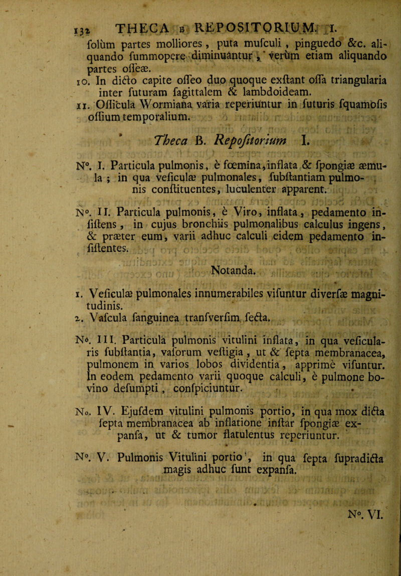 folitm partes molliores, puta mufculi , pinguedo &c. ali¬ quando fummopere - diminuantur ,' verum etiam aliquando partes ofleae. 10. In dido capite ofleo duo quoque exftant ofla triangularia inter futuram fagittalem & lambdoideam. 11. Oflicula Wormiana varia reperiuntur in futuris fquamofis offiura temporalium. Theca B. Repofitorwm I. N°. I. Particula pulmonis, e fcemina,inflata & fpongiae aemu¬ la ; in qua veficul* pulmonales, fubftantiam pulmo¬ nis conftituentes, luculenter apparent. N°. II. Panicula pulmonis, e Viro, inflata, pedamento in- fiftens, in cujus bronchiis pulmonalibus calculus ingens, & praeter eum, varii adhuc calculi eidem pedamento in- flftentes. i Notanda. * > •< * * * i. Veficulae pulmonales innumerabiles vifuntur diverfae magni¬ tudinis. z. Vafcula fanguinea tranfverfim, feda. N». III. Particula pulmonis vitulini inflata, in qua veficula- ris fubllantia, vaibrum veftigia , ut & fepta membranacea, pulmonem in varios lobos dividentia, apprime vifuntur. In eodem pedamento varii quoque calculi, e pulmone bo- vino defumpti, confpiciuntur. No. IV. Ejufdem vitulini pulmonis portio, in qua mox dida fepta membranacea ab inflatione inflar fpongiae ex- panfa, ut & tumor flatulentus reperiuntur. N°. V. Pulmonis Vitulini portio’, in qua fepta fupradida magis adhuc funt expanfa.