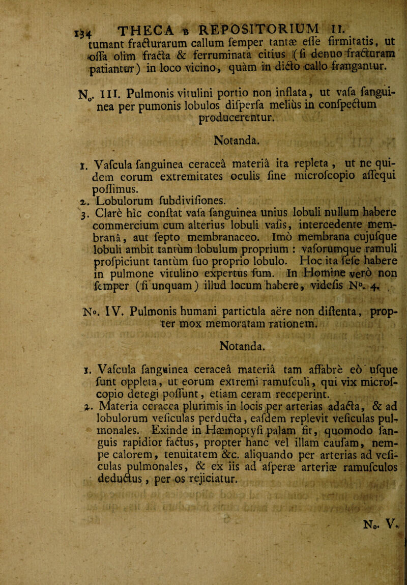 tumant fra&urarum callum femper tantae efle firmitatis, ut «fla otim frafta & ferruminata citius (fi denuo frafturam patiantur) in loco vicino, quam in dido callo frangantur. Nc. III. Pulmonis vitulini portio non inflata , ut vafa fangui- ° nea per pumonis lobulos difperfa melius in confpecium producerentur. Notanda. t. Vafcula fanguinea cerace-i materia ita repleta , ut ne qui¬ dem eorum extremitates oculis fine microfcopio affequi poflimus. i. Lobulorum fubdivifiones. 3. Clare hic conflat vafa fanguinea unius lobuli nullum habere commercium cum alterius lobuli vafis, intercedente mem¬ brana , aut fepto membranaceo. Imd membrana cujufque lobuli ambit tantum lobulum proprium : vaforumque ramuli profpiciunt tantum fuo proprio lobulo. Hoc ita fefe habere in pulmone vitulino expertus fium. In Homine vero non lemper (fi unquam) illud locum habere, videfis N°. 4. N». IV. Pulmonis humani particula aere non diftenta , prop¬ ter mox memoratam rationem. 'r' . •; .' . v'■ ■ • ’; ’ . ;- - t/Lr-si - *r»/.v-vaH Notanda. 1. Vafcula fangiainea ceracea materia tam affabre eo ufque funt oppleta, ut eorum extremi ramufculi, qui vix microf¬ copio detegi pofliint, etiam ceram receperint. %. Materia ceracea plurimis in locis per arterias adafta, & ad lobulorum veliculas perdufta, eafdem replevit veficulas puE monales. Exinde in Haemoptyfi palam fit, quomodo fan- guis rapidior faftus, propter hanc vel illam caufam, nem¬ pe calorem, tenuitatem &c. aliquando per arterias ad vefi¬ culas pulmonales, & ex iis ad afperae arteriae ramufculos deduftus, per os rejiciatur.