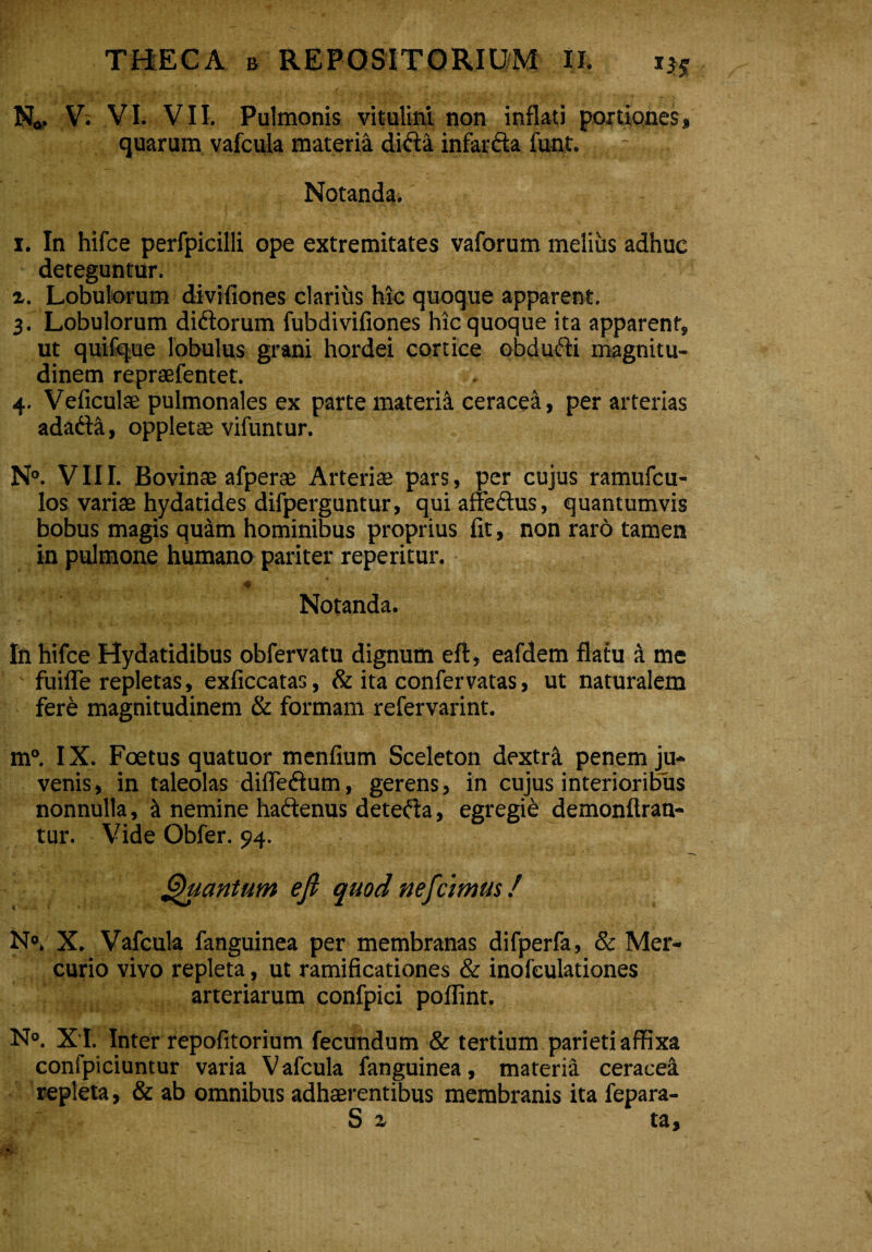 No. V. VI. VII. Pulmonis vitulini non inflati portiones» quarum vafcula materia dida infarda funt. . \ Notanda. i. In hifce perfpicilli ope extremitates vaforum melius adhuc deteguntur. a. Lobulorum divifiones clariiis hic quoque apparent. 3. Lobulorum didorum fubdivifiones hic quoque ita apparent» ut quifque lobulus grani hordei cortice obdudi magnitu¬ dinem repraefentet. 4. Veficulae pulmonales ex parte materi^ ceracea, per arterias adada, oppletae vifuntur. N°. VIII. Bovinae afperae Arteriae pars, per cujus ramufcu- los variae hydatides difperguntur, quiaffedus, quantumvis bobus magis quam hominibus proprius fit, non raro tamen in pulmone humano pariter reperitur. Notanda. In hifce Hydatidibus obfervatu dignum eft, eafdem flatu a me fuiffe repletas, exficcatas, & ita confervatas, ut naturalem fere magnitudinem & formam refervarint. m°. IX. Foetus quatuor menfium Sceleton dextri penem ju¬ venis, in taleolas difiedum, gerens, in cujus interioribus nonnulla, it nemine hadenus deteda, egregii demonftran- tur. Vide Obfer. 94. Quantum e fi quod nefcimus / N°, X. Vafcula fanguinea per membranas difperfa, & Mer¬ curio vivo repleta, ut ramificationes & inofculationes arteriarum confpici poffint. N°. X I. Inter repofitorium fecundum & tertium parieti affixa confpiciuntur varia Vafcula fanguinea, materia ceracea repleta, & ab omnibus adhaerentibus membranis ita fepara- S a ta.