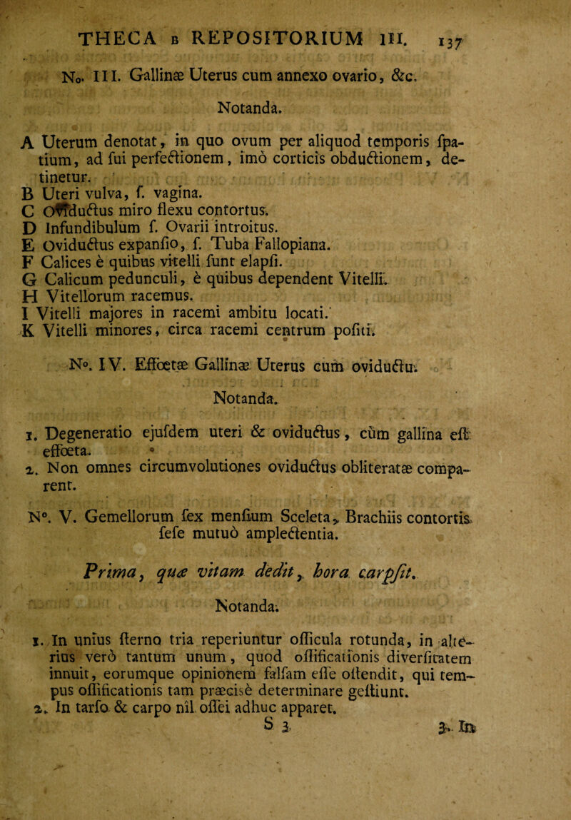 No- III. Gallinae Uterus cum annexo ovario,&c. Notanda. A Uterum denotat, in quo ovum per aliquod temporis fpa- tium, ad fui perfectionem, imo corticis obduCtionem, de¬ tinetur. ! , 1 : B Uteri vulva, f. vagina. C O^fduCtus miro flexu contortus. D Infundibulum f. Ovarii introitus. E OviduCtus expanfio, f. Tuba Failopiana. F Calices b quibus vitelli funt elapfi. G Calicum pedunculi, b quibus dependent Vitellii H Vitellorum racemus. I Vitelli majores in racemi ambitu locati.' K Vitelli minores, circa racemi centrum pofiti. N°. IV. Effbetae Gallina; Uterus cum oviduftu. Notanda. m • » f • t « '• r * L . .-f' * • ^ -i • f - - -r*-- . * i. Degeneratio ejufdem uteri & oviduftus, cum gallina efl effbeta. i. Non omnes circumvolutiones oviduCtus obliteratas compa¬ rent. N°. V. Gemellorum fex menfium Sceleta > Brachiis contortis fefe mutuo ampleCientia. Prima, qua vitam dedit, hora carpfit. Notanda-. j. In unius flerno tria reperiuntur oflicula rotunda, in alte¬ rius vero tantum unum, quod offificationis diverfitatem innuit, eorumque opinionem falfam efle oflendit, qui tem¬ pus oflificationis tam praecise determinare geitiunt. a* In tarfo & carpo nil, oflei adhuc apparet. S a 3 * Itt