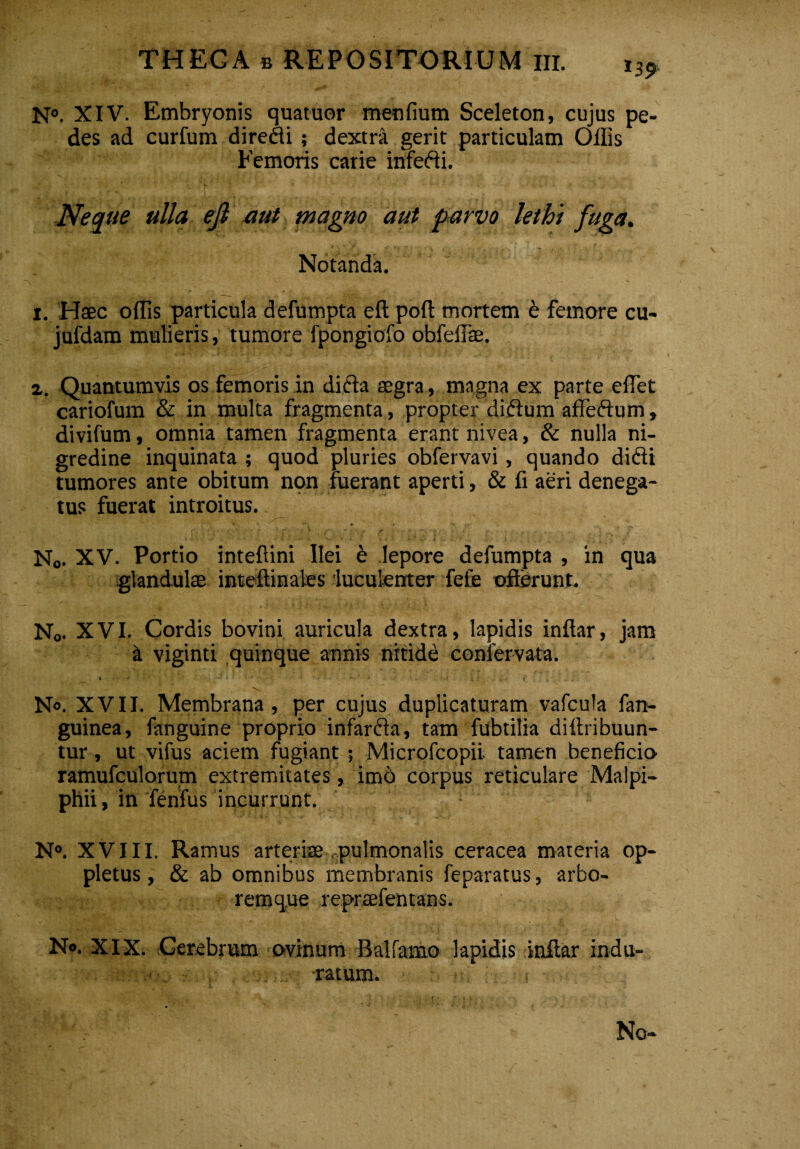 N°. XIV. Embryonis quatuor menfium Sceleton, cujus pe¬ des ad curfum direfli; dextra gerit particulam Ollis Femoris carie infedi. Neque ulla eji aut magno aut parvo lethi fuga. Notanda. i. Haec ollis particula defumpta eft poft mortem e femore cu- jufdam mulieris, tumore fpongiofo obfelTae. z. Quantumvis os femoris in dicta aegra, magna ex parte elTet cariofum & in multa fragmenta, propter didum aflfedum, divifum, omnia tamen fragmenta erant nivea, & nulla ni¬ gredine inquinata ; quod pluries obfervavi , quando didi tumores ante obitum non fuerant aperti, & fi aeri denega¬ tus fuerat introitus. N0. XV. Portio intellini Ilei b lepore defumpta , in qua glandulae inteftinales luculenter fefe offerunt. N0. XVI. Cordis bovini auricula dextra, lapidis inftar, jam a viginti quinque annis nitide conlervata. % •* ■* • ++ i . .. - $ V * N». XVII. Membrana, per cujus duplicaturam vafcula fan- guinea, fanguine proprio infarcta, tam fubtilia diltribuun- tur, ut vifus aciem fugiant ; Microfcopii. tamen beneficio ramufculorum extremitates, imb corpus reticulare Malpi- phii, in fenfus incurrunt. N°. XVIII. Ramus arteriae pulmonalis ceracea materia op- pletus, & ab omnibus membranis feparatus, arbo¬ remque reprsefentans. No. XIX. Cerebrum ovinum Ballanto lapidis inftar indu¬ ratum. No-