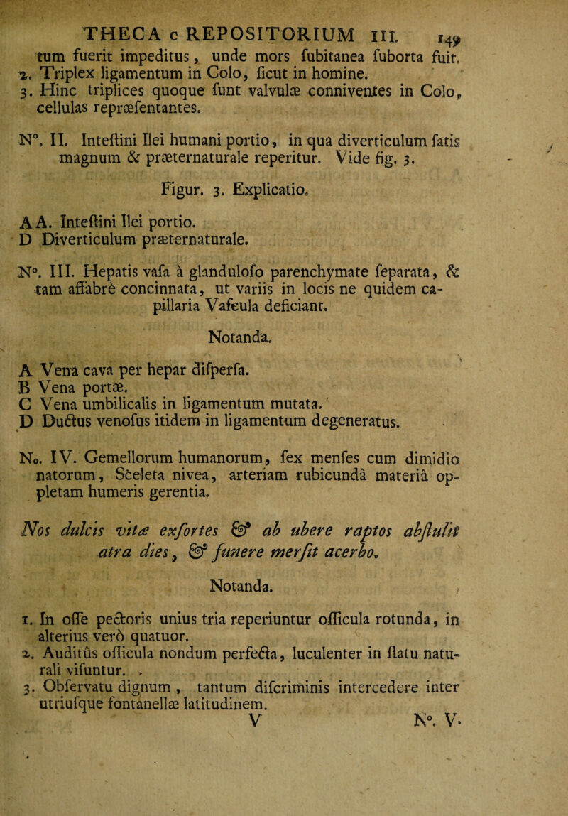 tum fuerit impeditus, unde mors fubitanea fuborta fuit. z. Triplex ligamentum in Colo, ficut in homine. 3. Hinc triplices quoque funt valvulae conniventes in Colo,, cellulas reprsefentantes. N°. II. Inteftini Ilei humani portio, in qua diverticulum fatis magnum & praeternaturale reperitur. Vide fig. 3. Figur. 3. Explicatio. A A. Inteftini Ilei portio. D Diverticulum praeternaturale. N°. III. Hepatis vafa a glandulofo parenchymate feparata, & tam affabre concinnata, ut variis in locis ne quidem ca¬ pillaria Vafeula deficiant. Notanda. A Vena cava per hepar difperfa. B Vena portae. C Vena umbilicalis in ligamentum mutata. D Duftus venofus itidem in ligamentum degeneratus. No. IV. Gemellorum humanorum, fex menfes cum dimidio natorum, Sceleta nivea, arteriam rubicunda materia op- pletam humeris gerentia. Nos dulcis vita exfortes & ab ubere raptos abjlulit atra dies, & f unere merfit acerbo. Notanda. x. In ofle pedoris unius tria reperiuntur officula rotunda, in alterius vero quatuor. z. Auditus officula nondum perfedla, luculenter in ftatu natu¬ rali vifuntur. . 3. Obfervatu dignum , tantum difcriminis intercedere inter utriufque fontanellae latitudinem. V N°. V-