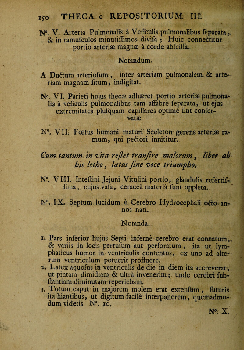 N°. V. Arteria Pulmonalis a Veficulis pulmonalibus feparata», & in ramufculos minutiffimos divifa ; Huic conneditur portio arteria magnae it corde abfcifla. Notandum. A Dudum arteriofum , inter arteriam pulmonalem & arteb¬ riam magnam fitum, indigitat. N°. VI. Parieti hujus thecae adhaeret portio arteriae pulmona¬ lis a veficulis pulmonalibus tam affabre feparata, ut ejus extremitates plufquam capillares optime fint confer- vatae. N°. VII; Foetus humani maturi Sceleton gerens arteriae ra¬ mum , qni pedori innititur. Cum tantum in vita reflet tranftre malorum, Uber ah' his letho, Icetus fine voce triumpho i N°. VIII. Inteftini Jejuni Vitulini portio, glandulis refertif- fima ,, cujus vala, ceracea materia funt oppleta. NVIX» Septum lucidum & Cerebro Hydrocephali odo an¬ nos nati.. Notanda. ii Pars inferior Hujus Septi inferni cerebro erat connatum & variis in locis pertufum aut perforatum , ita ut Iym-. phaticus humor in ventriculis contentus, ex uno ad alte¬ rum ventriculum potuerit profluere. %. Latex aquofus ih ventriculis de die in diem ita accreverat,, ut pintam dimidiam & ultra invenerim; unde cerebri fub- ftantiam diminutam reperiebam. 3. Totum caput in majorem molem erat extenfum, futuris ita hiantibus, ut digitum facile interponerem, quemadmo¬ dum videtis N°. 10, N°: X.