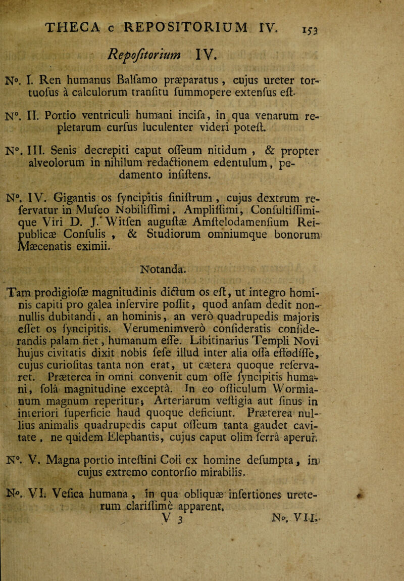 Repofitorium IV. N°. I. Ren humanus Balfamo praeparatus, cujus ureter tor- tuofus a calculorum tranfitu fummopere extenfus eft- N°. II. Portio ventriculi humani incifa, in qua venarum re¬ pletarum curfus luculenter videri poteft. N°. III. Senis decrepiti caput offeum nitidum , & propter alveolorum in nihilum redaftionem edentulum, pe¬ damento infiftens. N°. IV. Gigantis os fyncipitis finiftrum , cujus dextrum re- fervatur in Mufeo Nobiliffimi, Ampliflimi, Confultiflimi- que Viri D. J.'Witfen auguftae Amftelodamenfium Rei- publicae Confulis , & Studiorum omniumque bonorum Maecenatis eximii. Notanda. Tam prodigiofae magnitudinis diftum os eft, ut integro homi¬ nis capiti pro galea infervire poffit, quod anfam dedit non-- nullis dubitandi, an hominis, an vero quadrupedis majoris effet os fyncipitis. Verumenimvero confideratis confide- randis palam fiet, humanum efie. Libitinarius Templi Novi hujus civitatis dixit nobis fefe illud inter alia offa effodi fle, cujus curiofitas tanta non erat, ut caetera quoque referva- ret. Prseterea in omni convenit cum offe fyncipitis huma;- ni, fola magnitudine excepta. In eo ofliculum Wormia- num magnum repentur* Arteriarum veftigia aut finus in interiori fuperficie haud quoque deficiunt. Praeterea nul¬ lius animalis quadrupedis caput offeum tanta gaudet cavi¬ tate, ne quidem Elephantis, cujus caput olim ferra aperui; N°. V. Magna portio inteftini Coli ex homine defumpta, iw cujus extremo contorfio mirabilis, N«. VL Vefica humana , in qua obliquae infertiones urete¬ rum clariflime apparent.