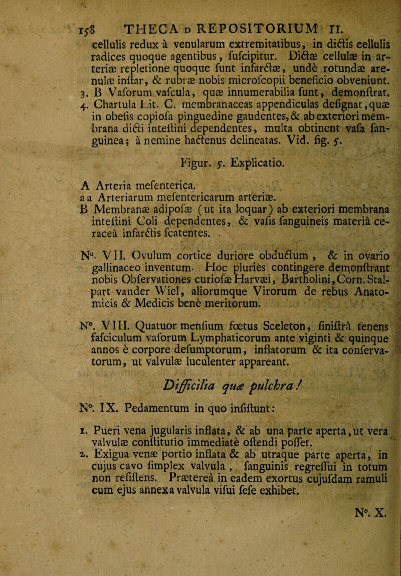 cellulis redux & venularum extremitatibus, in didis cellulis radices quoque agentibus, fufcipitur. Didae cellulae in ar¬ teriae repletione quoque funt infardae, unde rotundae are¬ nulae inftar, & rubrae nobis microfcopii beneficio obveniunt. 3. B Vaforum vafcula, quae innumerabilia funt, demonftrat. 4. Chartula Lit. C. membranaceas appendiculas defignat,quae in obefis copiofa pinguedine gaudentes, & ab exteriori mem¬ brana didi inteitini dependentes, multa obtinent vafa fan- guinea; a nemine hadenus delineatas. Vid. fig. 5. Figur. 5. Explicatio. A Arteria mefenterica. a a Arteriarum mefentericarum arteriae. B Membranae adipofae (ut ita loquar) ab exteriori membrana inteitini Coli dependentes, & vafis fanguineis materia ce- racea infardis fcatentes. . N°- VII. Ovulum cortice duriore obdudum , & in ovario gallinaceo inventum- Hoc pluries contingere demonftrant nobis Obfervationes curiofaeHarvaei, Bartholini, Corn.Stal- part vander Wiel, aliorumque Virorum de rebus Anato¬ micis & Medicis bene meritorum. N°. VIII. Quatuor mentium foetus Sceleton, finiftra tenens fafciculum vaforum Lymphaticorum ante viginti & quinque annos e corpore defumptorum, inflatorum & ita conferva- torum, ut valvulae luculenter appareant. Difficilia qua pulchra / N°. IX. Pedamentum in quo infiftunt: 1. Pueri vena jugularis inflata, & ab una parte aperta,ut vera valvulae conflitutio immediati oftendi pofler. x. Exigua venae portio inflata & ab utraque parte aperta, in cujus cavo fimplex valvula , fanguinis regreflui in totum non refiftens. Praeteret in eadem exortus cujufdam ramuli cum ejus annexa valvula vifui fefe exhibet. ■'  ' N°. X. N