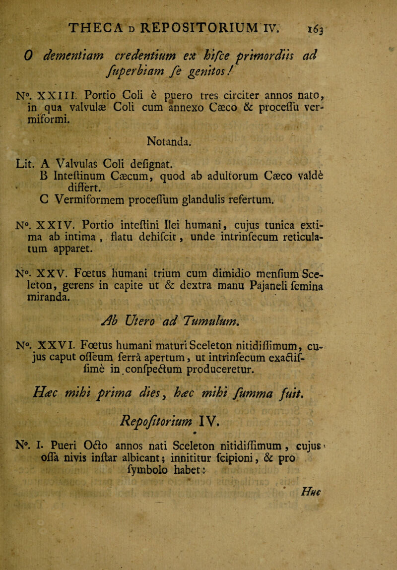 0 dementiam credentium ex hifce primordiis ad fuperbiam fe genitos! N°. XXIII; Portio Coli e puero tres circiter annos nato, in qua valvulae Coli cum annexo Caeco & procedit ver¬ miformi. Notanda. Lit. A Valvulas Coli defignat. B Intettinum Caecum, quod ab adultorum Caeco vald& differt. C Vermiformem proceflum glandulis refertum. N°. XXIV. Portio inteftini Ilei humani, cujus tunica exti¬ ma ab intima , flatu dehifcit, unde intrinfecum reticula¬ tum apparet. N°. XXV. Foetus humani trium cum dimidio menfium Sce- leton, gerens in capite ut & dextra manu Pajaneli femina miranda. Ab Utero ad Tumulum. N°._XXVI. Foetus humani maturiSceleton nitidiflimum, cu¬ jus caput odeum ferra apertum, ut intrinfecum exaflif- flme in.confpedtum produceretur. Hac mihi prima dies, hac mihi fumma fuit. Repofitorium IV. N°. I. Pueri Odio annos nati Sceleton nitidiflimum, cujus ■ oda nivis inftar albicant; innititur fcipioni, & pro fymbolo habet: