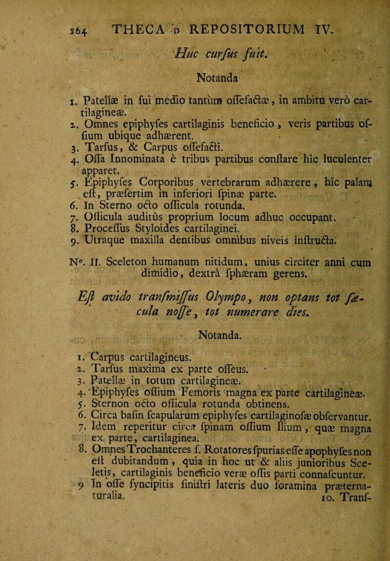 Huc curfius fuit.  i r. y ' • • Notanda 1. Patellae in fui medio tantum oflefa&ae, in ambitu vero car¬ tilagineae. r. Omnes epiphyfes cartilaginis beneficio, veris partibus of- fium ubique adhaerent. 3. Tarfus, & Carpus oflefa&i. 4. Olla Innominata b tribus partibus conflare hic luculenter apparet. ' k - r jjfll 5-. Epiphyfes Corporibus vertebrarum adhaerere , hic palanj eft, praefertim in inferiori fpinae parte. 6. In Sterno 06I0 ollicula rotunda. 7. Ollicula auditus proprium locum adhuc occupant. 8. ProcefTus Styloides cartilaginei. 9. Utraque maxilla dentibus omnibus niveis inftruda. ^ / N°. II. Sceleton humanum nitidum, unius circiter anni cum dimidio, dextra fphaeram gerens. EJi avido tranfmififius Olympo, non optans tot fi<se- r ' cula nofie, tot numerare dies. Notanda. 1. Carpus cartilagineus. 2. Tarfus maxima ex parte ofleus. 3. Patellae in totum cartilagineae. 4. 'Epiphyfes offium Femoris magna ex parte cartilagineae. 5. Sternon o<fto ollicula rotunda obtinens. 6. Circa bafin fcapularum epiphyfes cartilaginofaeobfervantur. 7. Idem reperitur circ* fpinam offium Ilium, quae magna ex parte, cartilaginea. 8. Omnes Trochanteres f. Rotatores fpurias elfe apophyfes non eft dubitandum, quia in hoc ut & aliis junioribus Sce¬ letis, cartilaginis beneficio verae olfis parti connafcuntur. 5> In olle fyncipitis finiftri lateris duo foramina praeterna- turalia. - 10. Tranf-